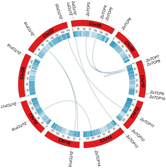 Genome-Wide Identification and Expression Analysis of the TCP Gene ...