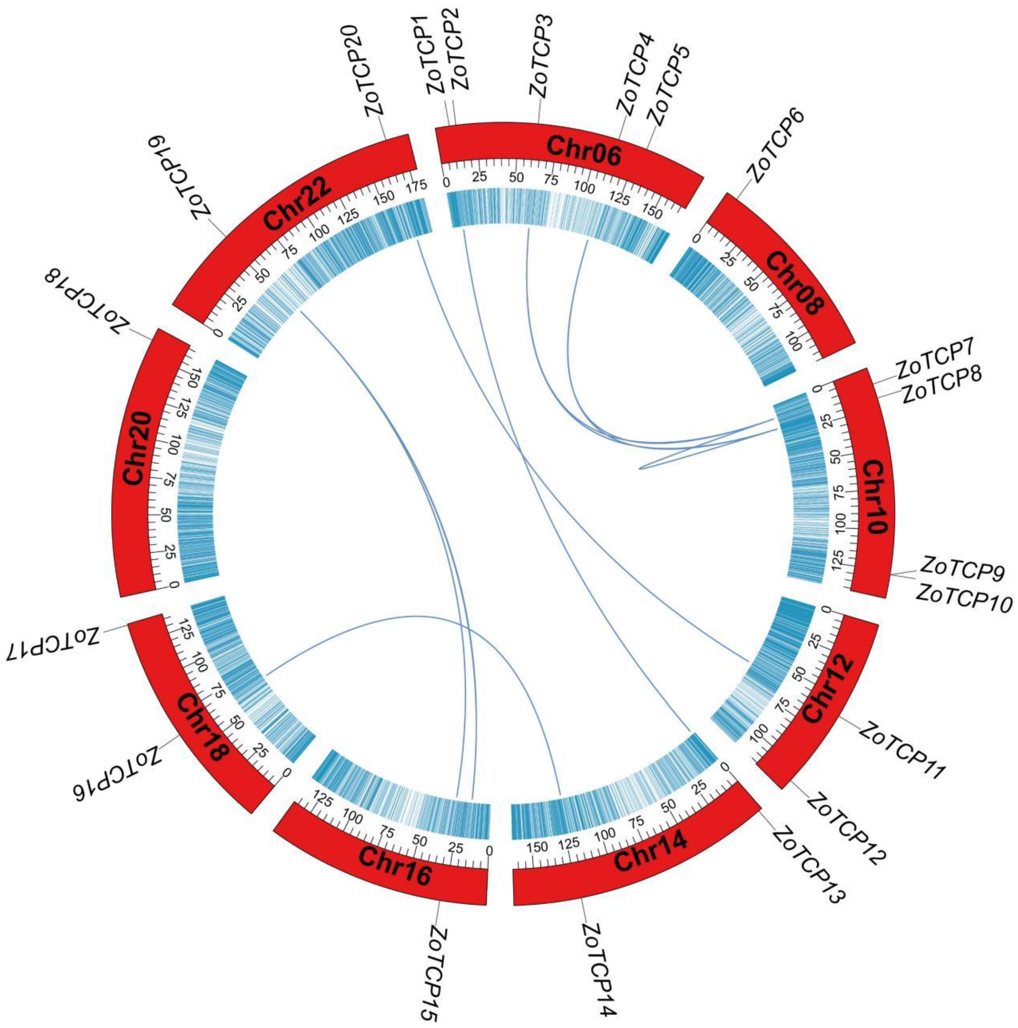 Plants 12 03389 g007 Plants 12 03389 g007