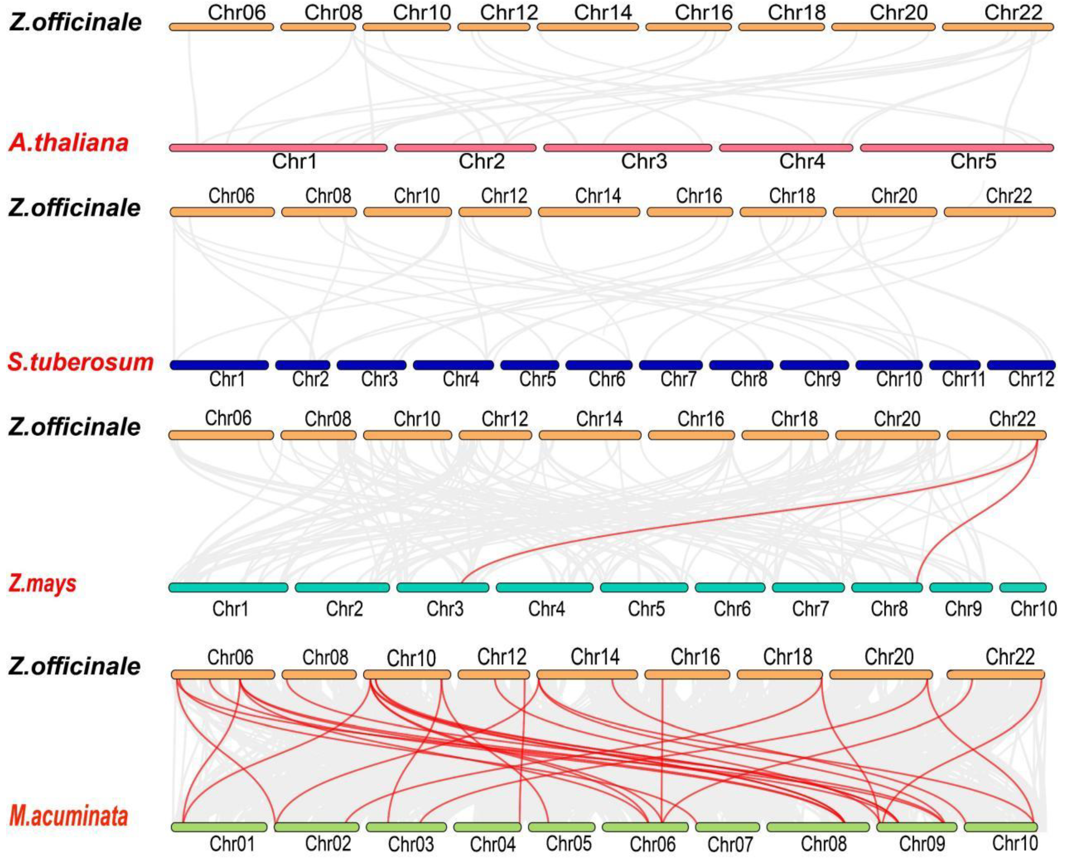 Plants 12 03389 g008 Plants 12 03389 g008