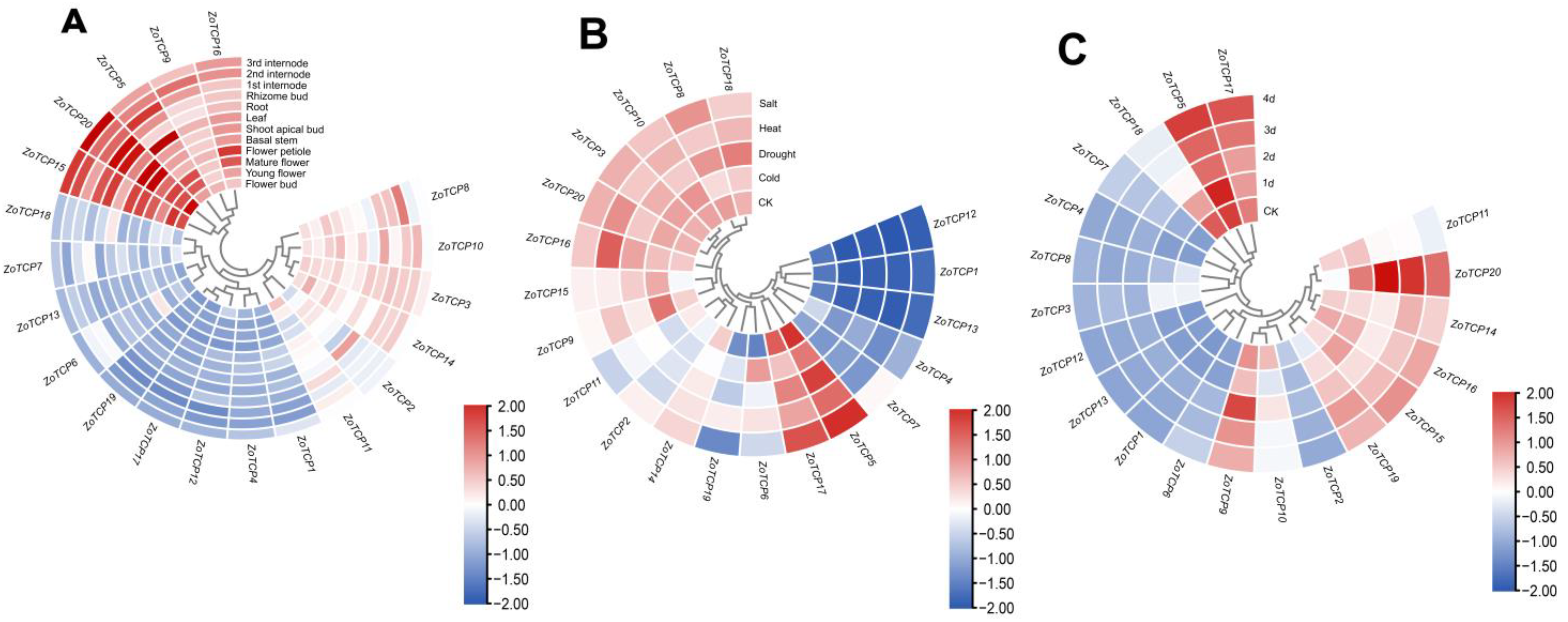Plants 12 03389 g009 Plants 12 03389 g009