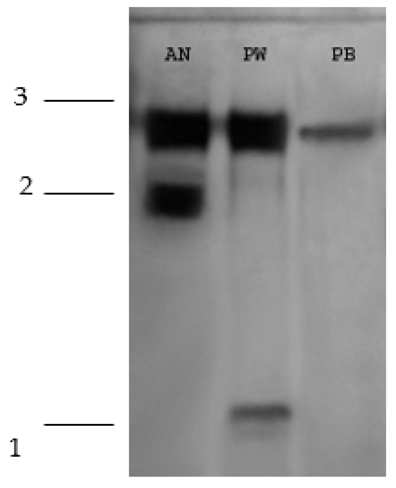 Plants 12 03395 g006 Plants 12 03395 g006