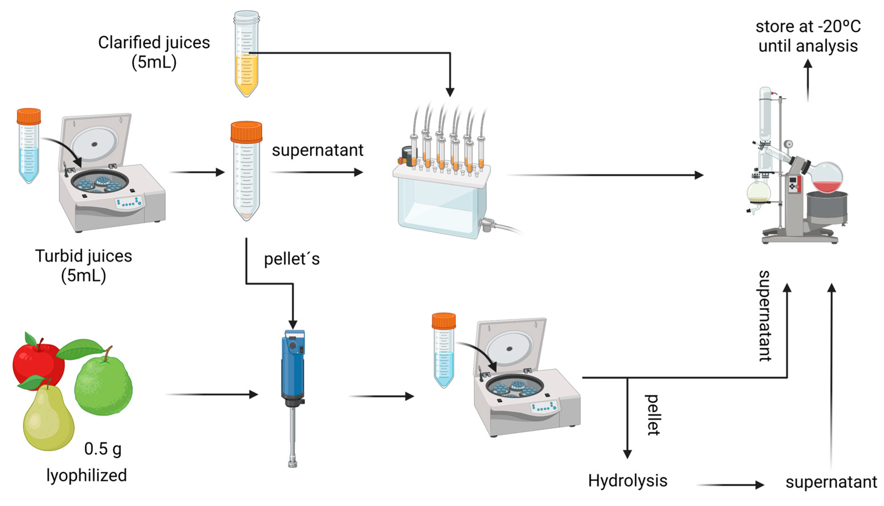 Plants 12 03397 g006
