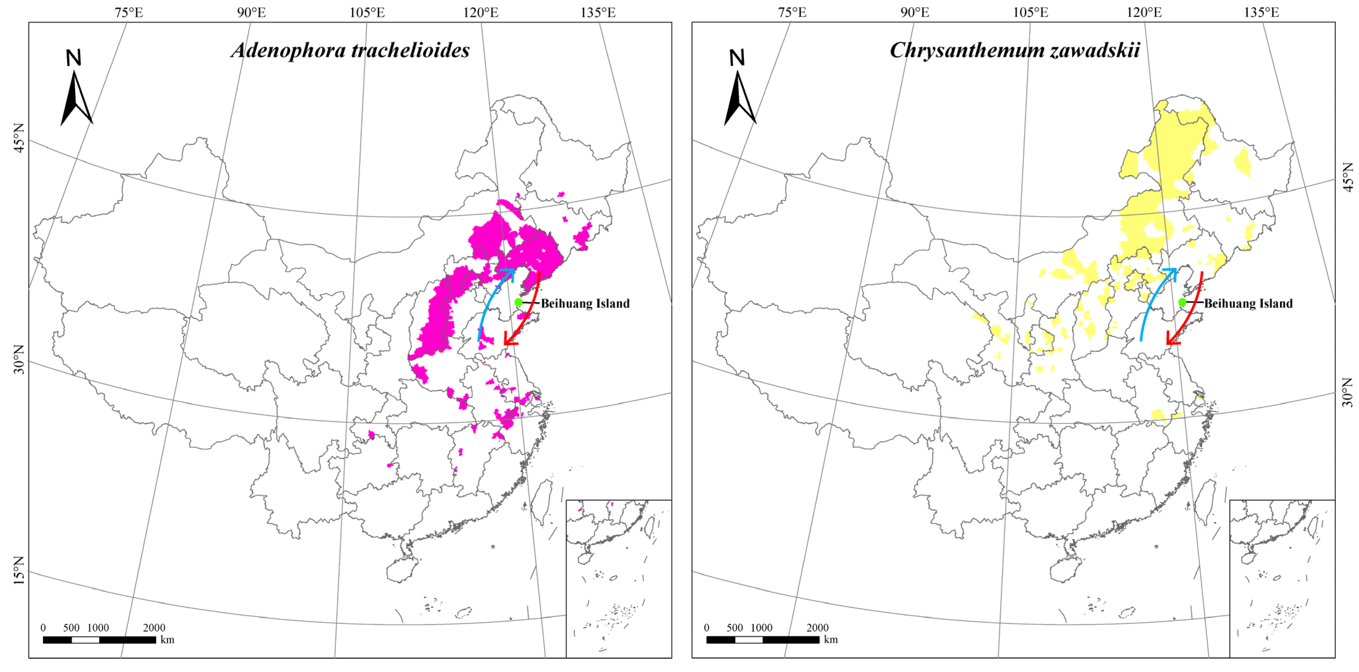 Plants 12 03406 g004