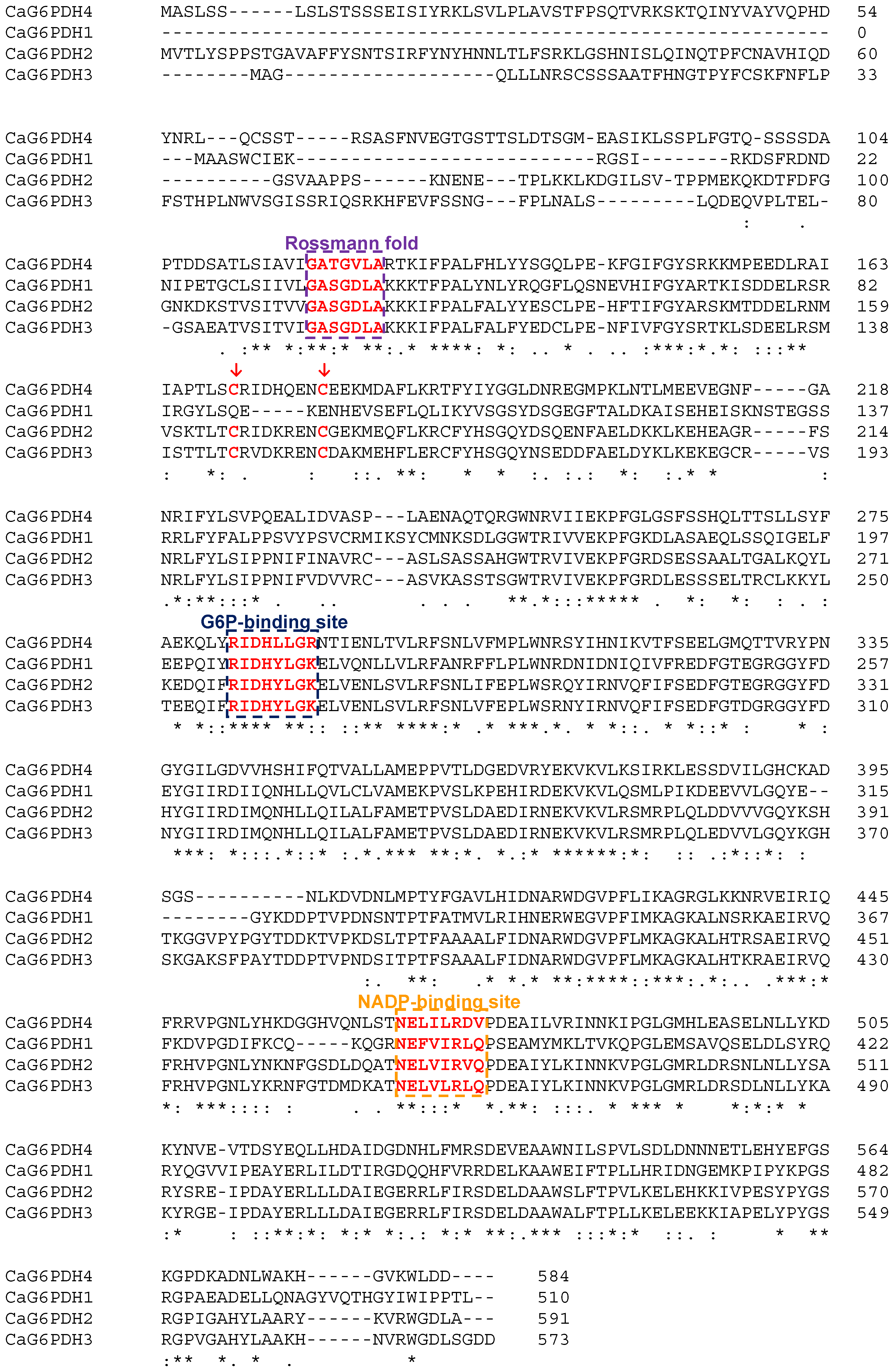 Plants 12 03408 g003