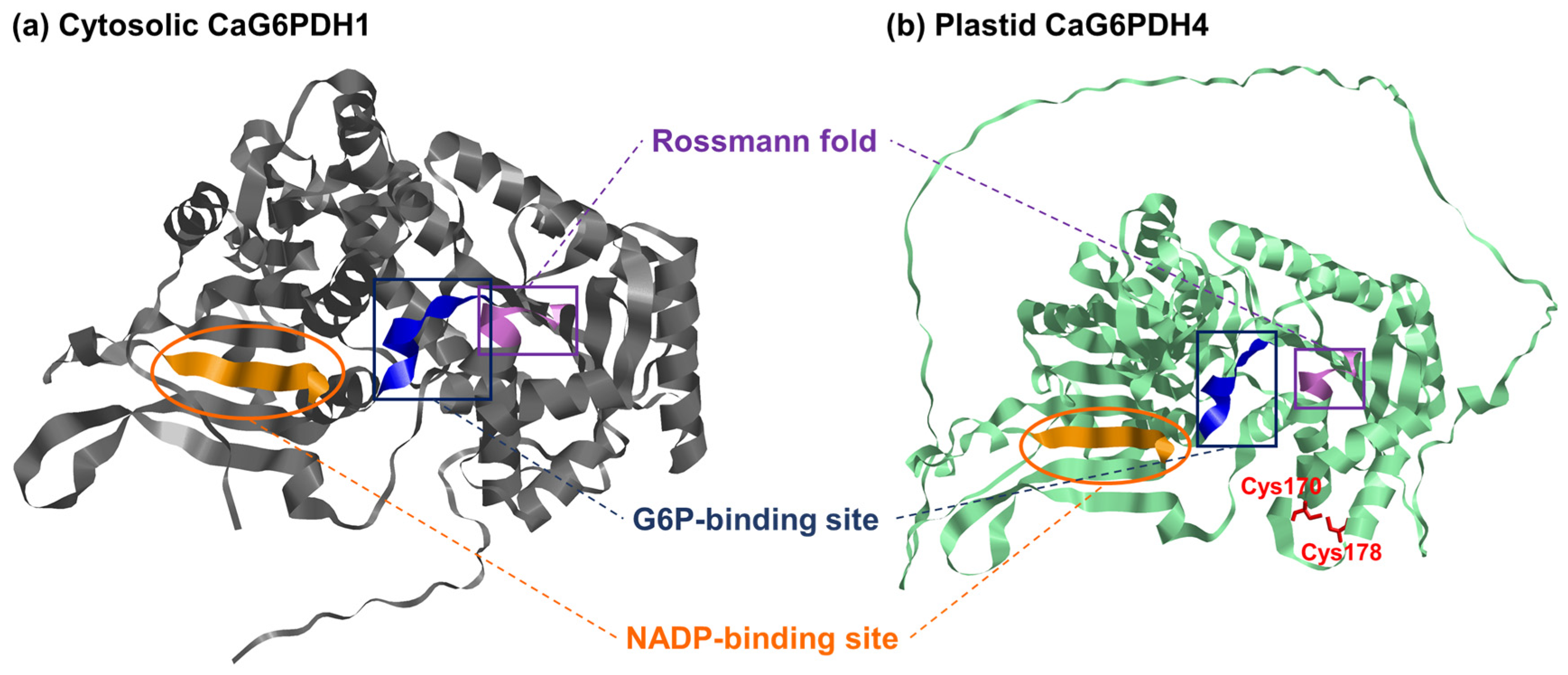 Plants 12 03408 g004