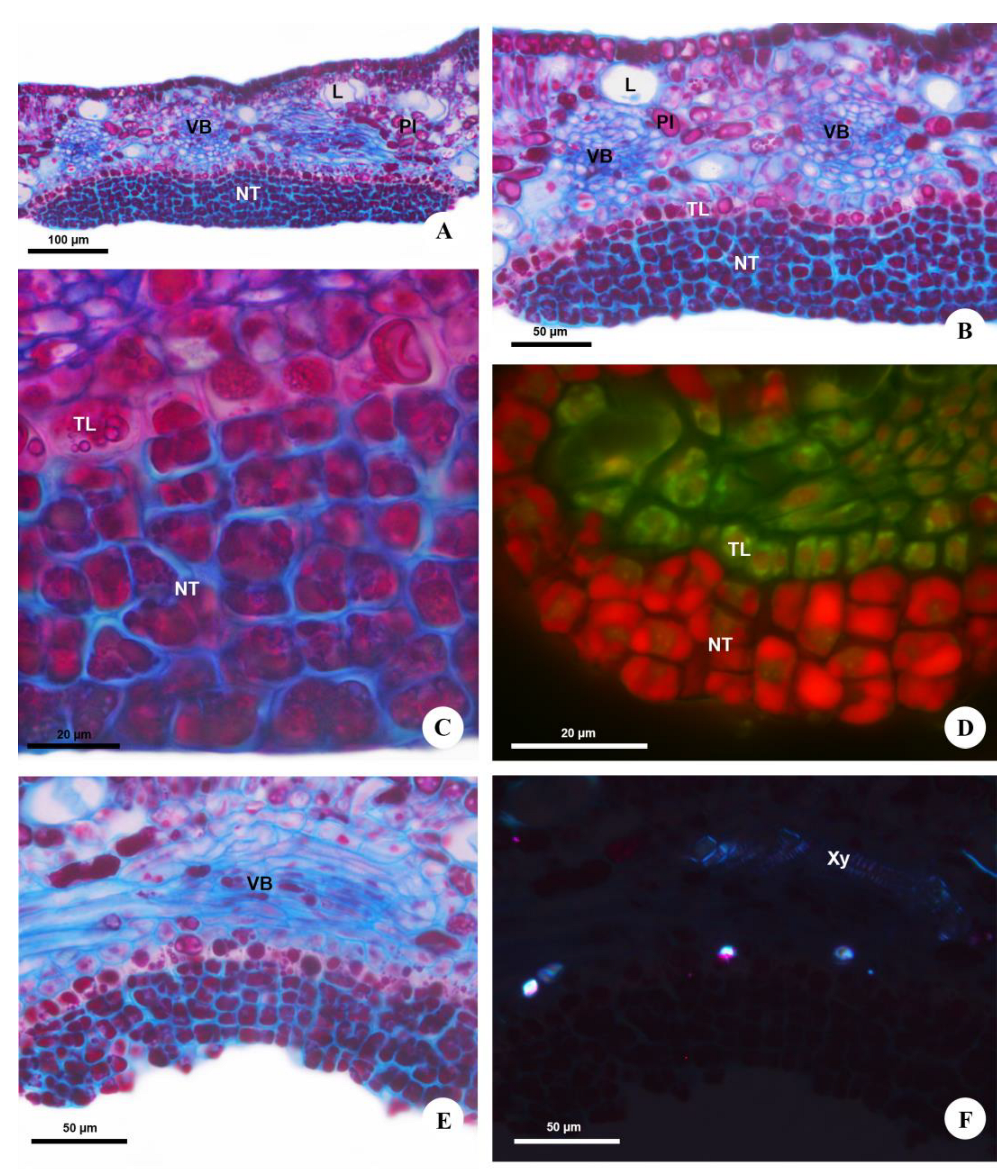 Plants 12 03411 g003