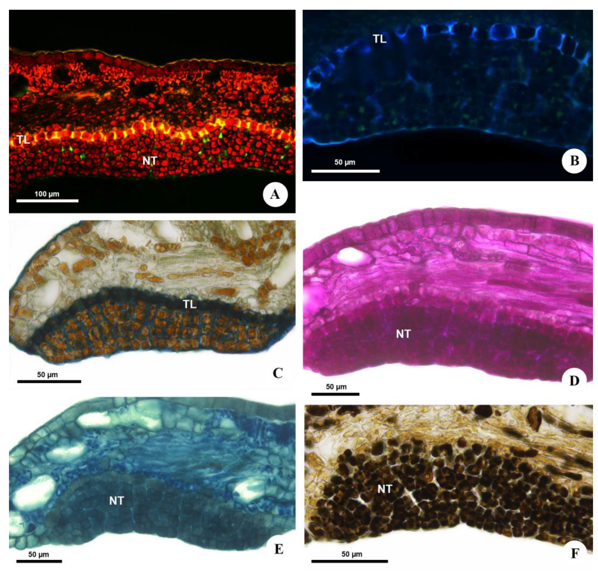 Plants 12 03411 g004
