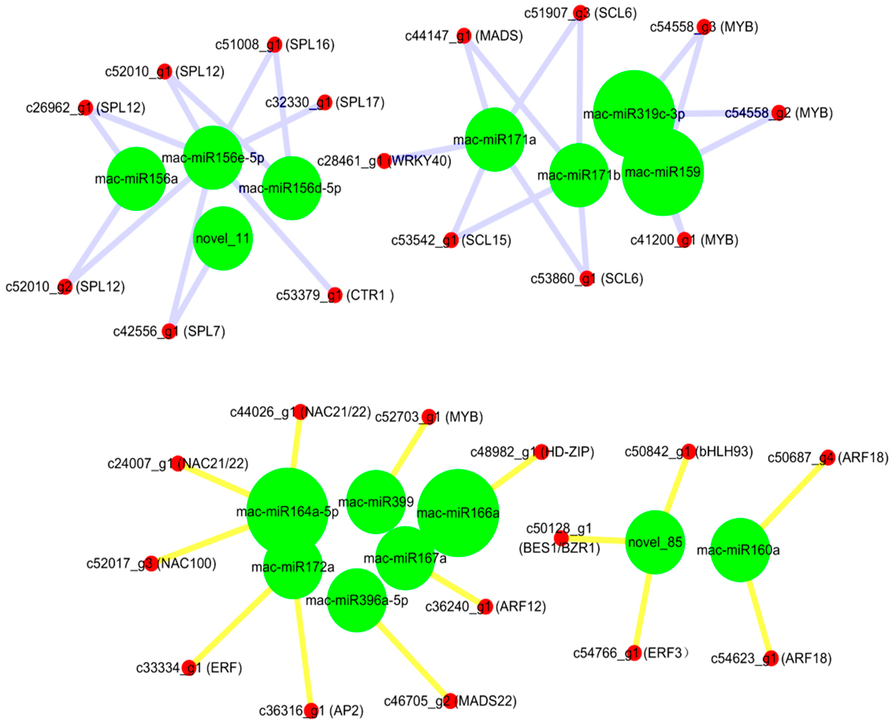 Plants 12 03414 g004