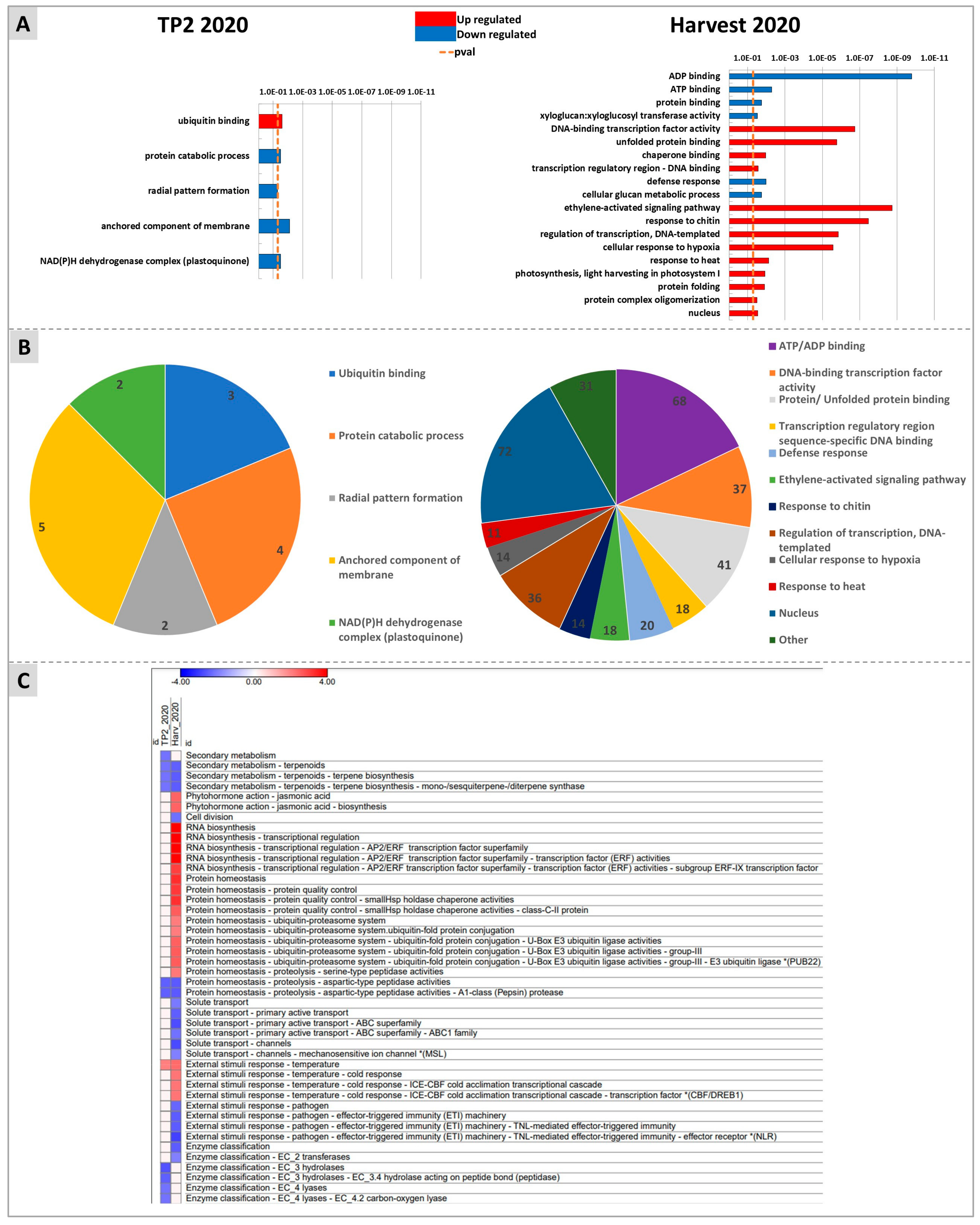 Plants 12 03423 g007