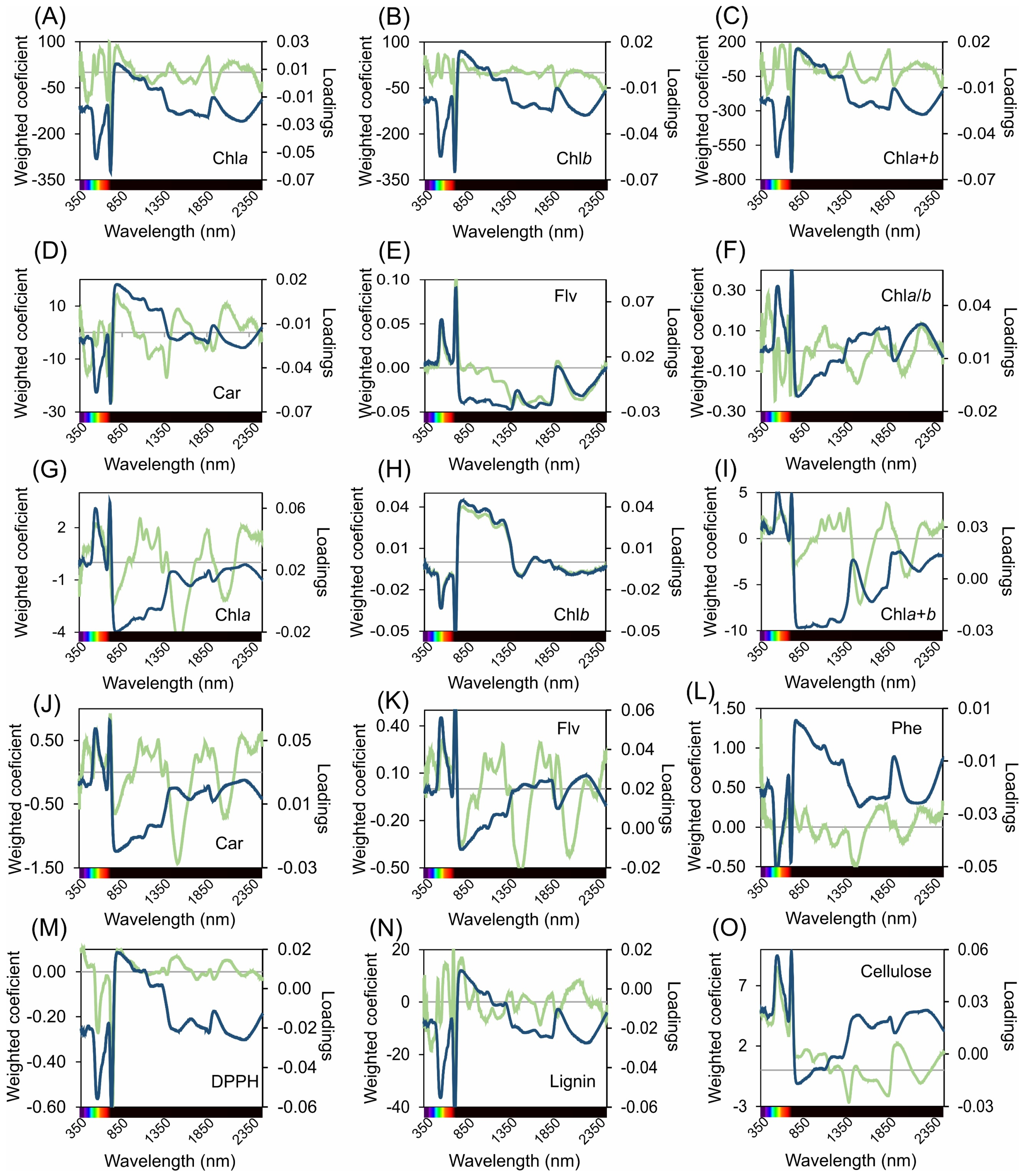 Plants 12 03424 g005