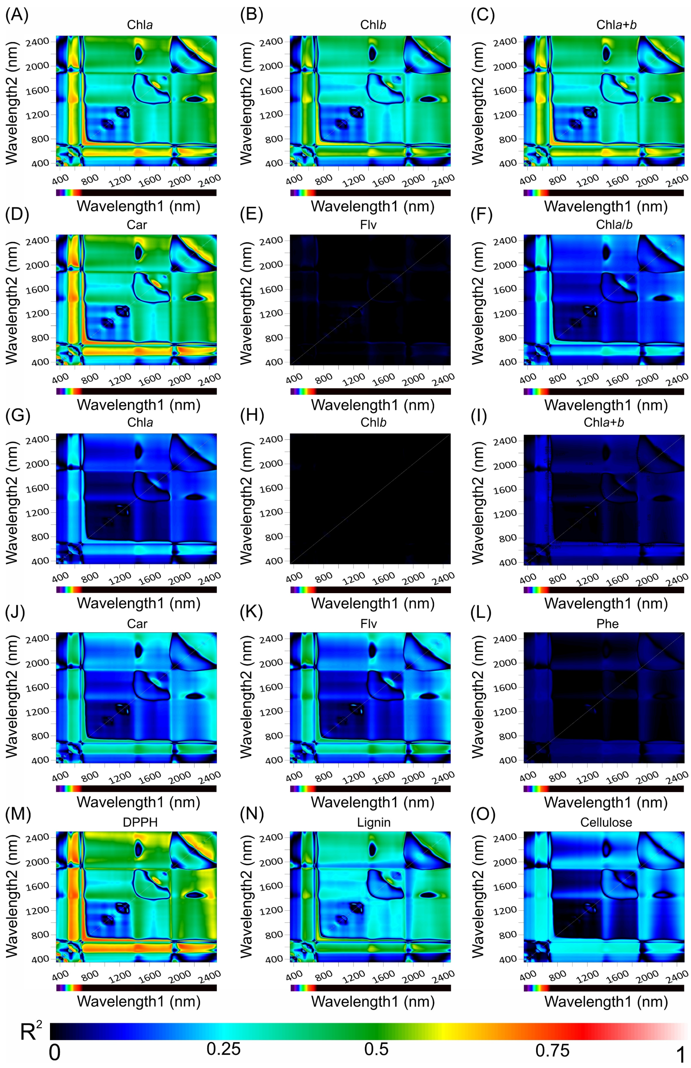 Plants 12 03424 g006