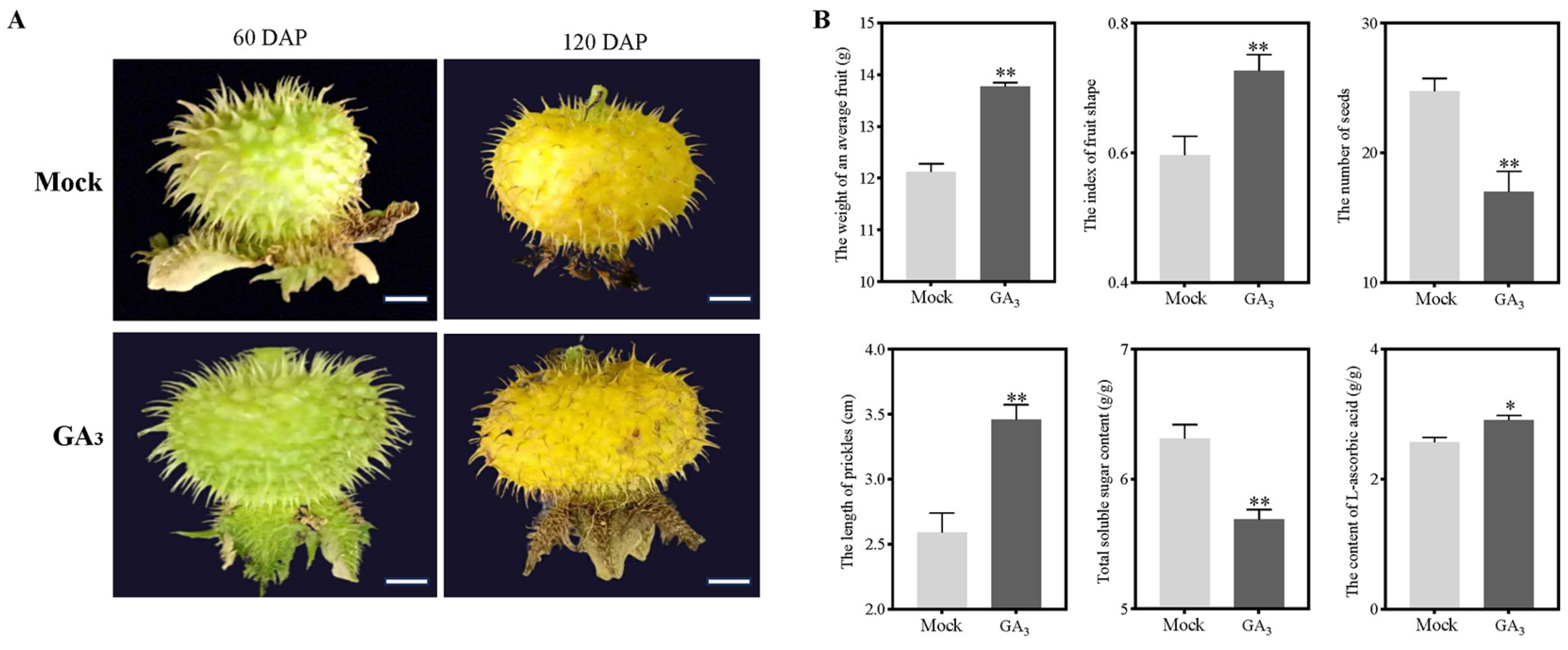 Plants 12 03425 g001