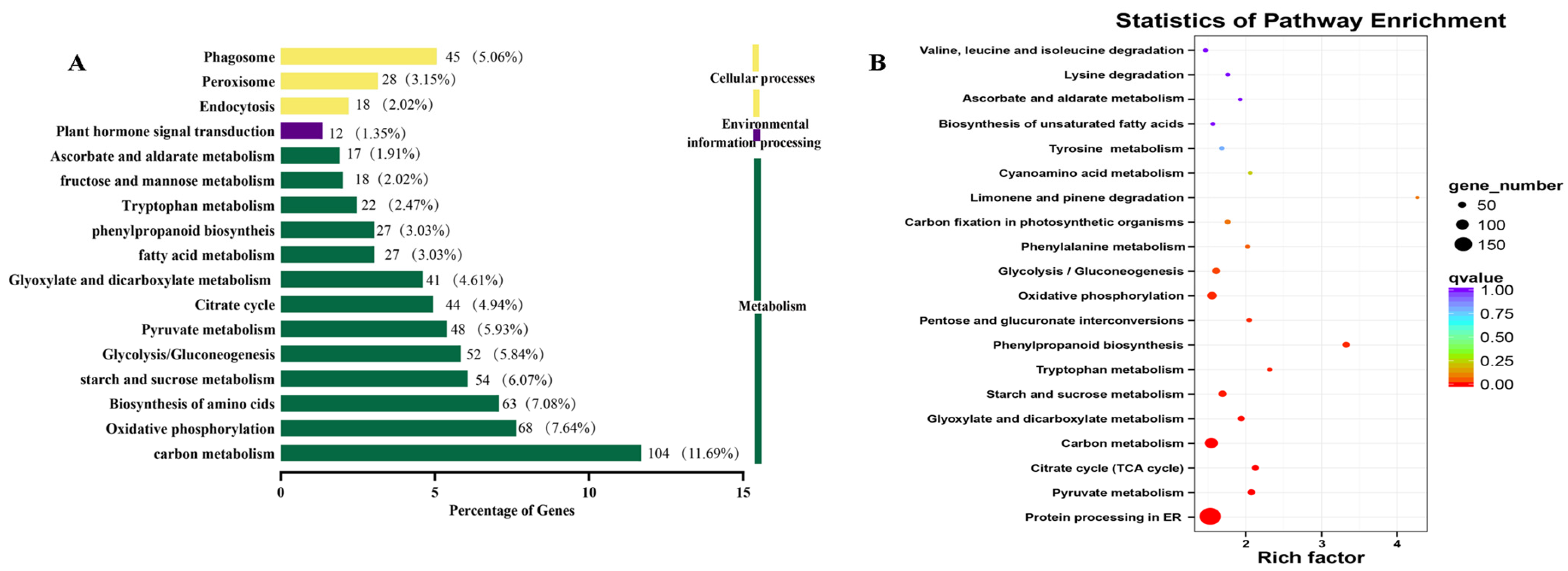 Plants 12 03425 g004