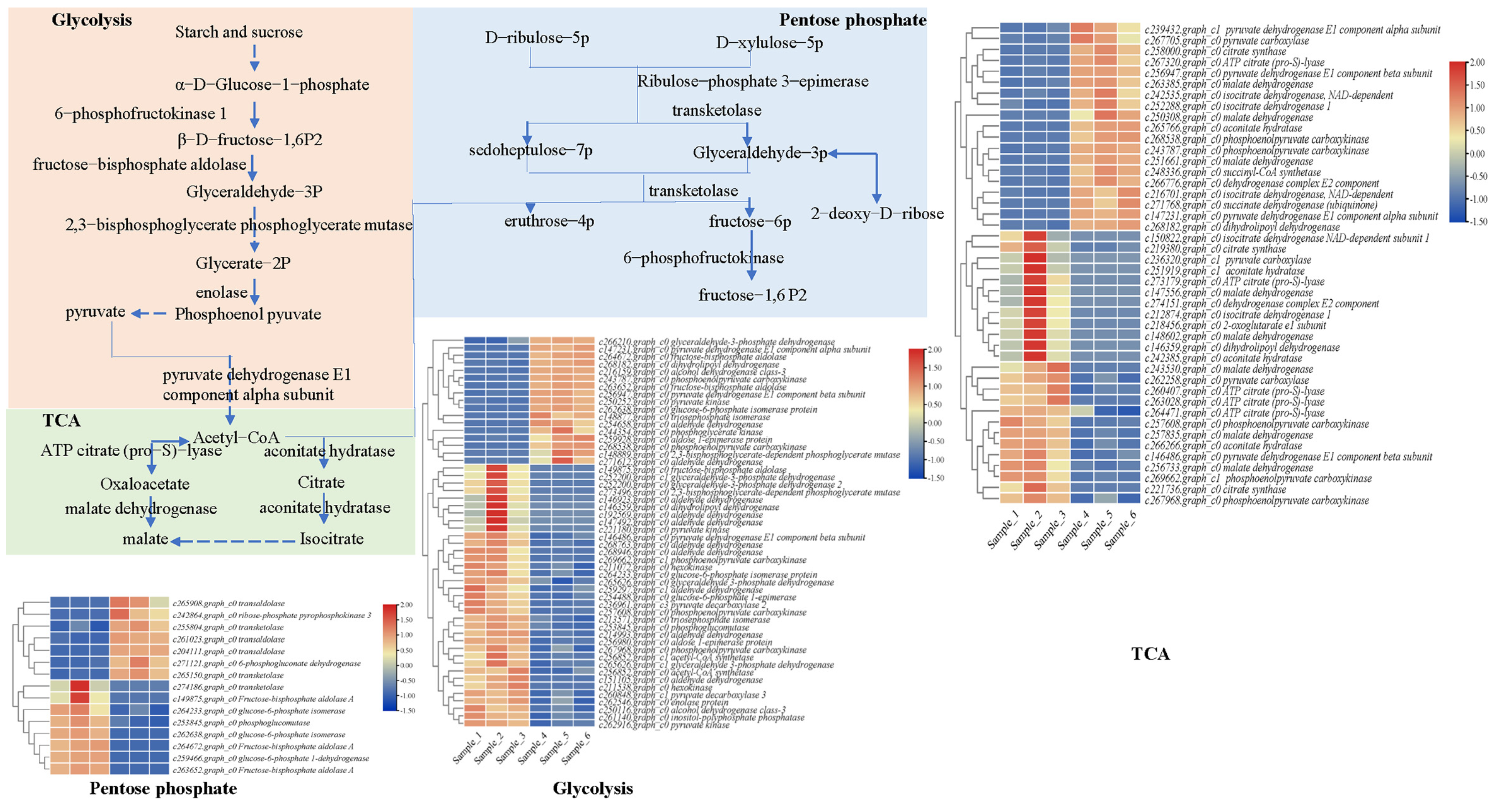 Plants 12 03425 g005