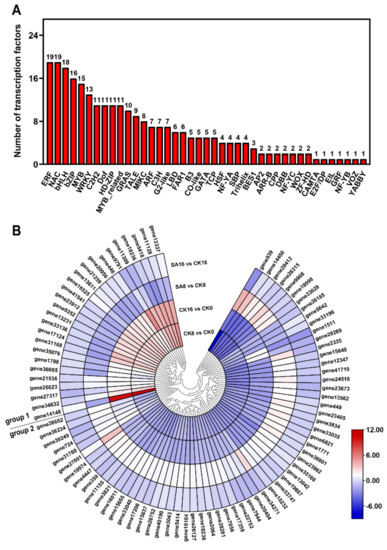 Comparative Physiological and Transcriptome Analyses Reveal