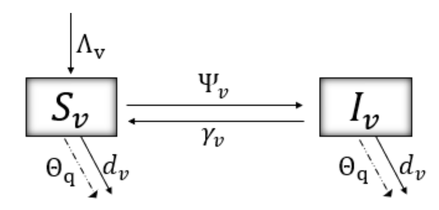 Plants 12 03442 g002