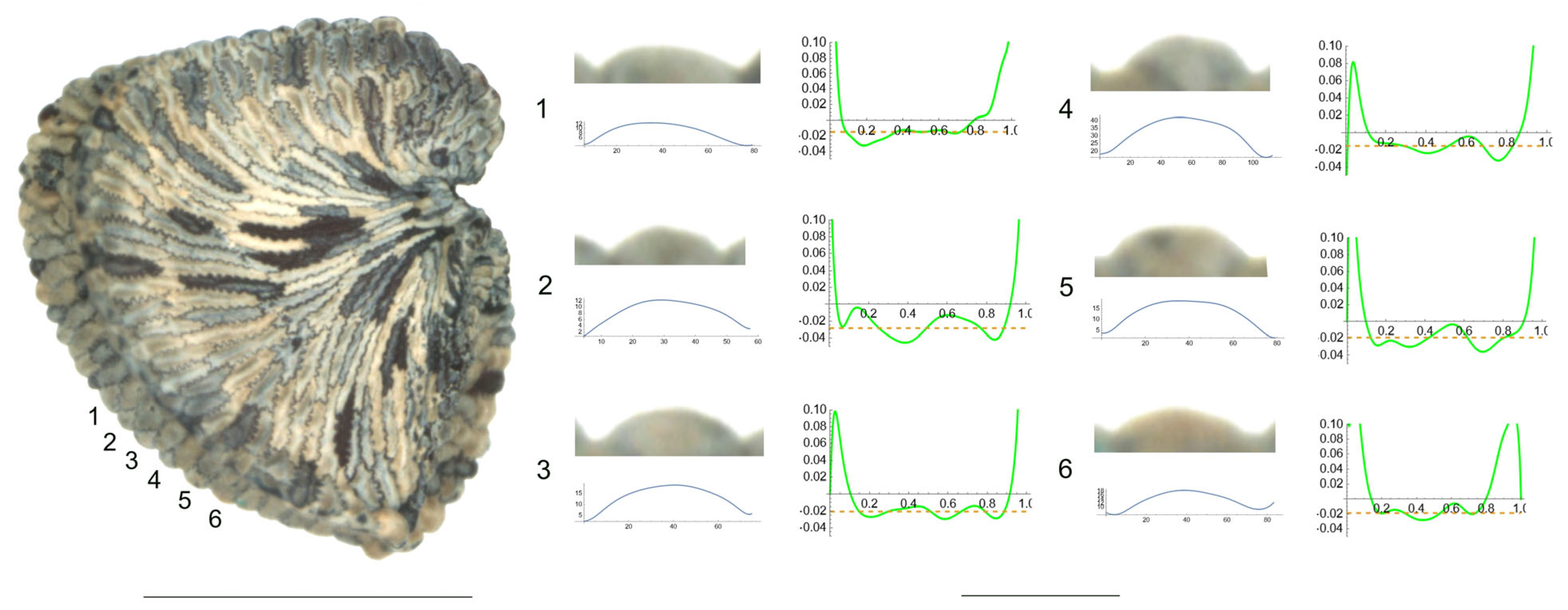 Plants 12 03444 g001 Plants 12 03444 g001