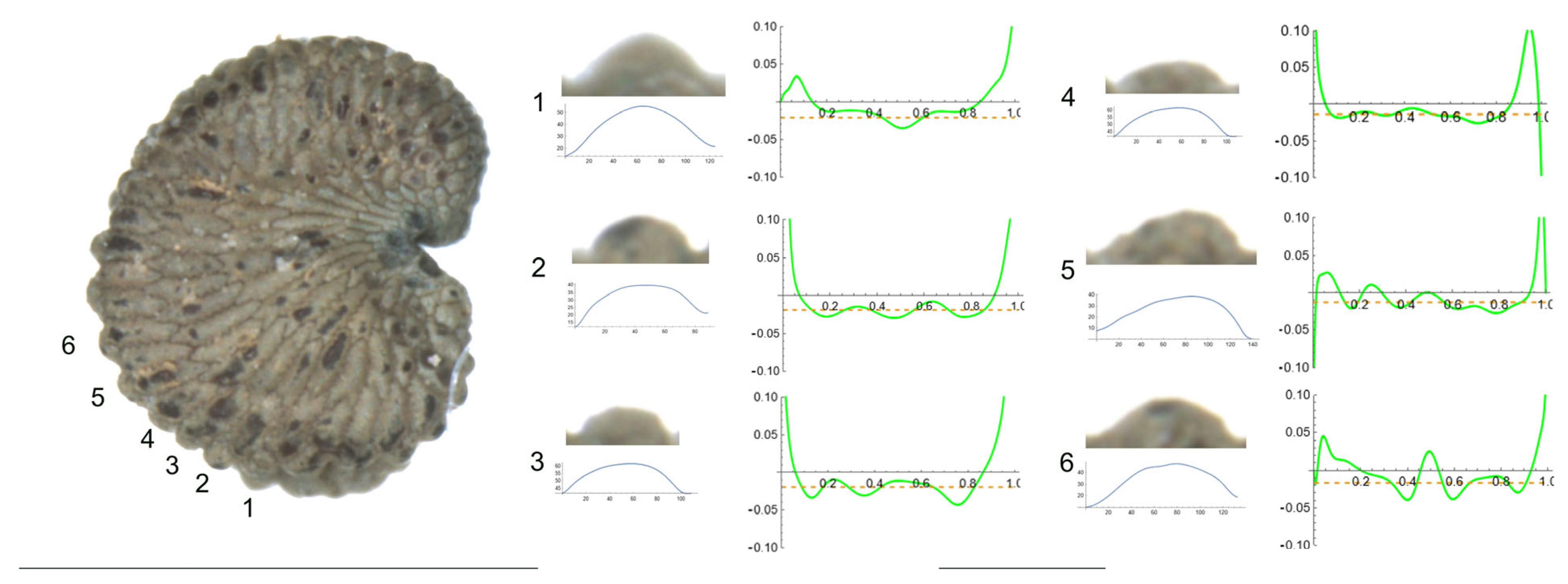 Plants 12 03444 g002 Plants 12 03444 g002
