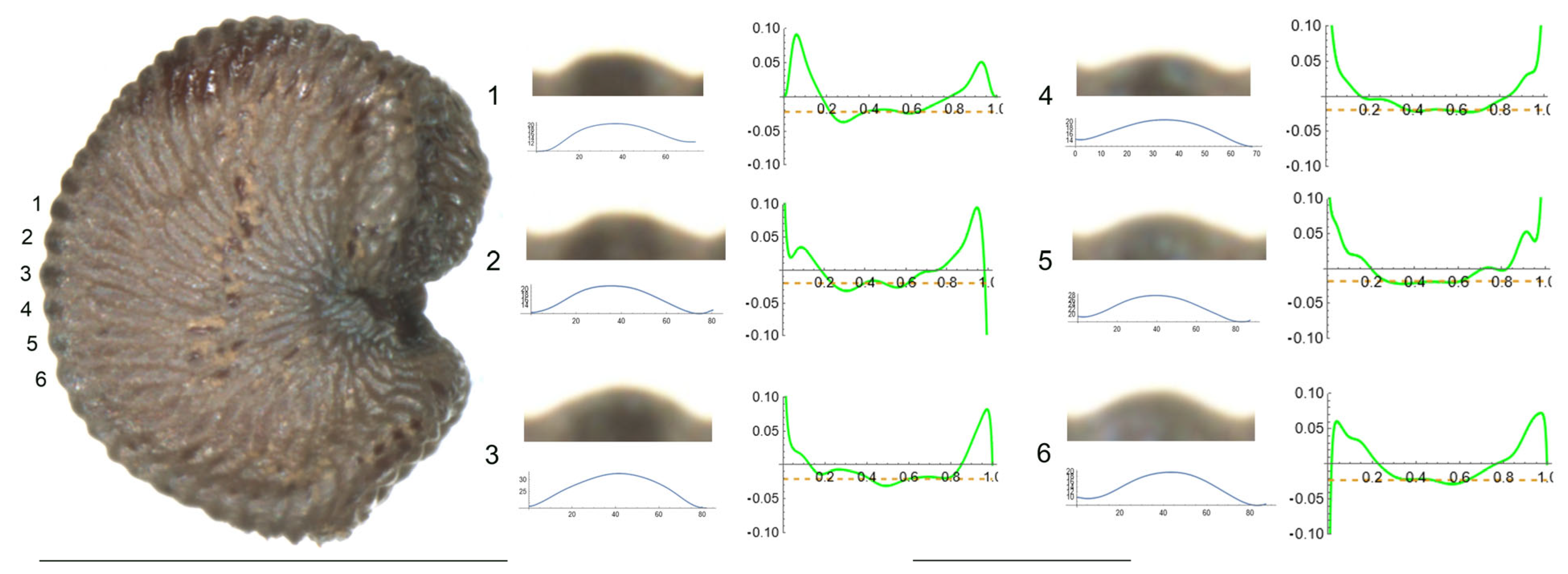 Plants 12 03444 g003 Plants 12 03444 g003