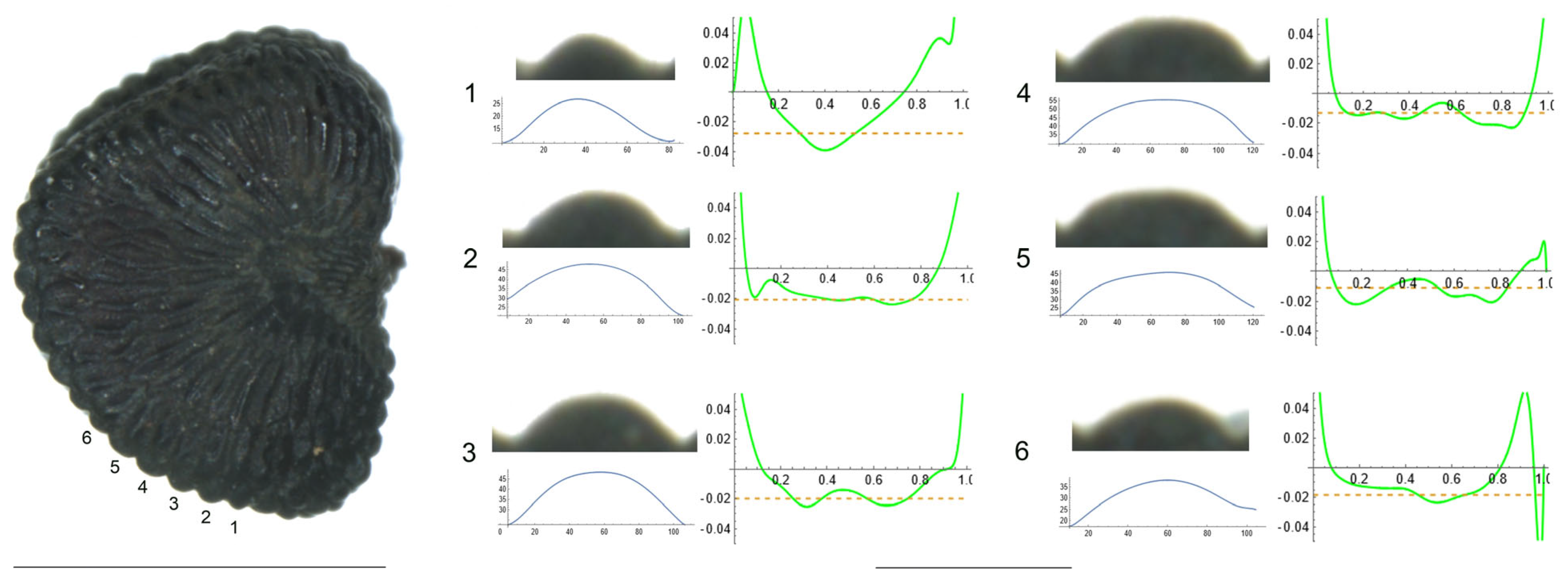 Plants 12 03444 g004 Plants 12 03444 g004