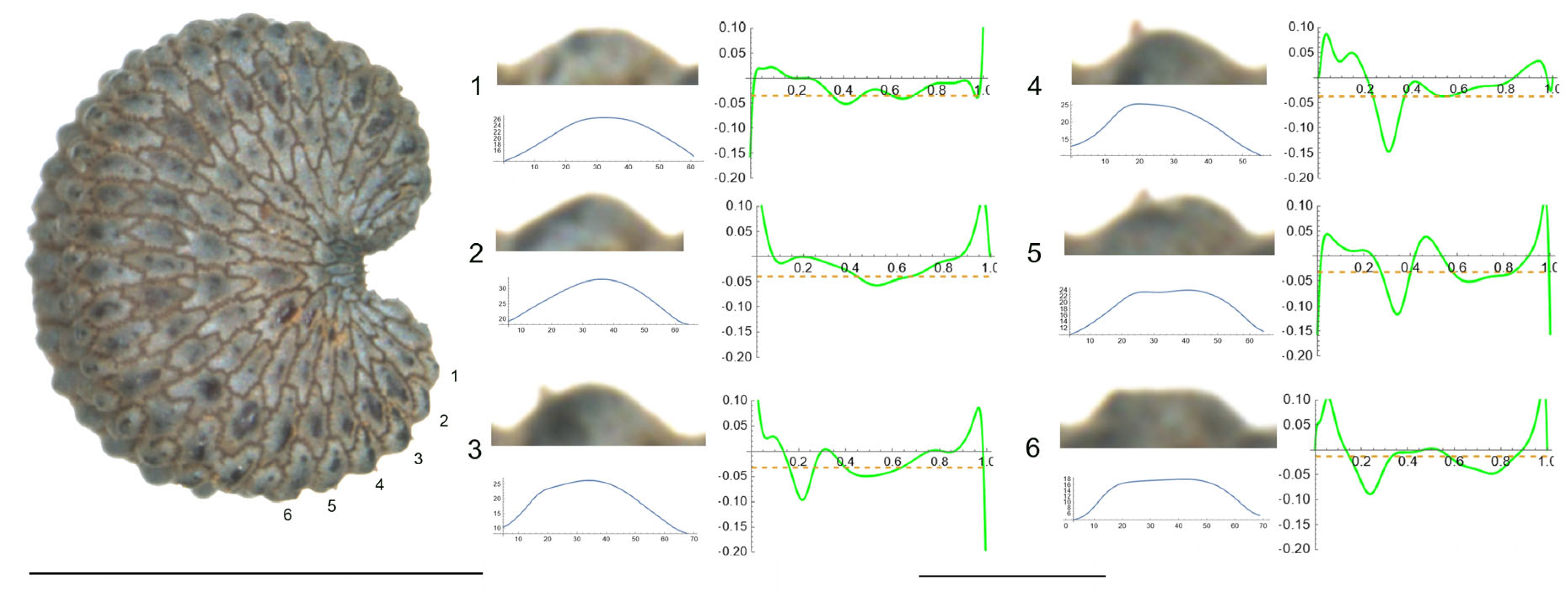 Plants 12 03444 g006 Plants 12 03444 g006