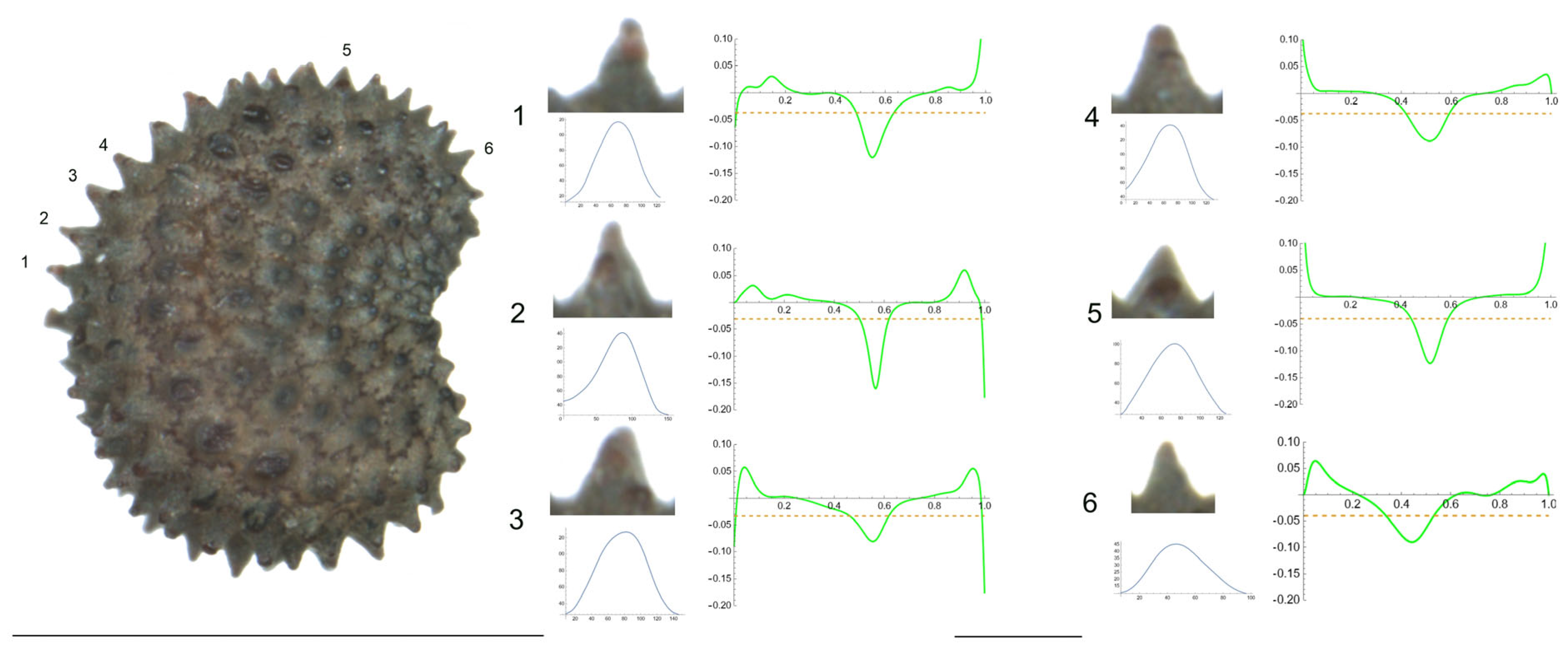 Plants 12 03444 g008 Plants 12 03444 g008