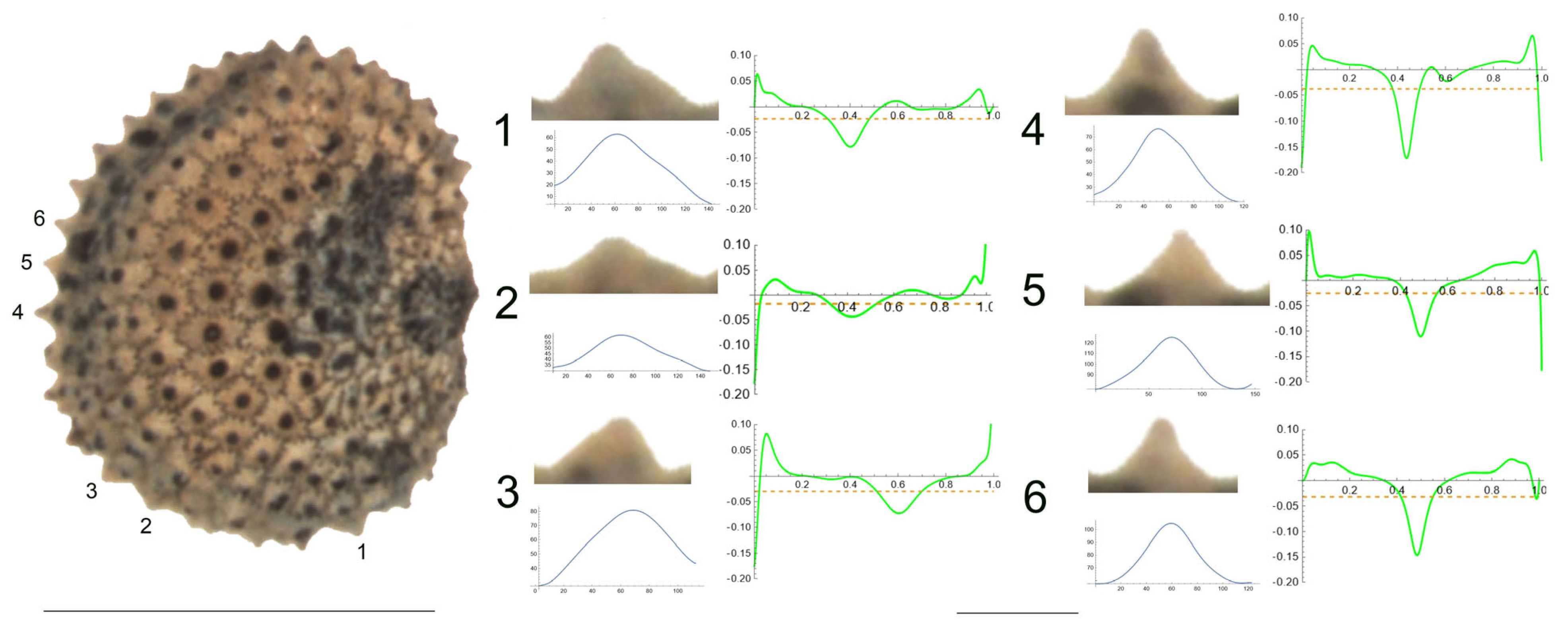 Plants 12 03444 g009 Plants 12 03444 g009