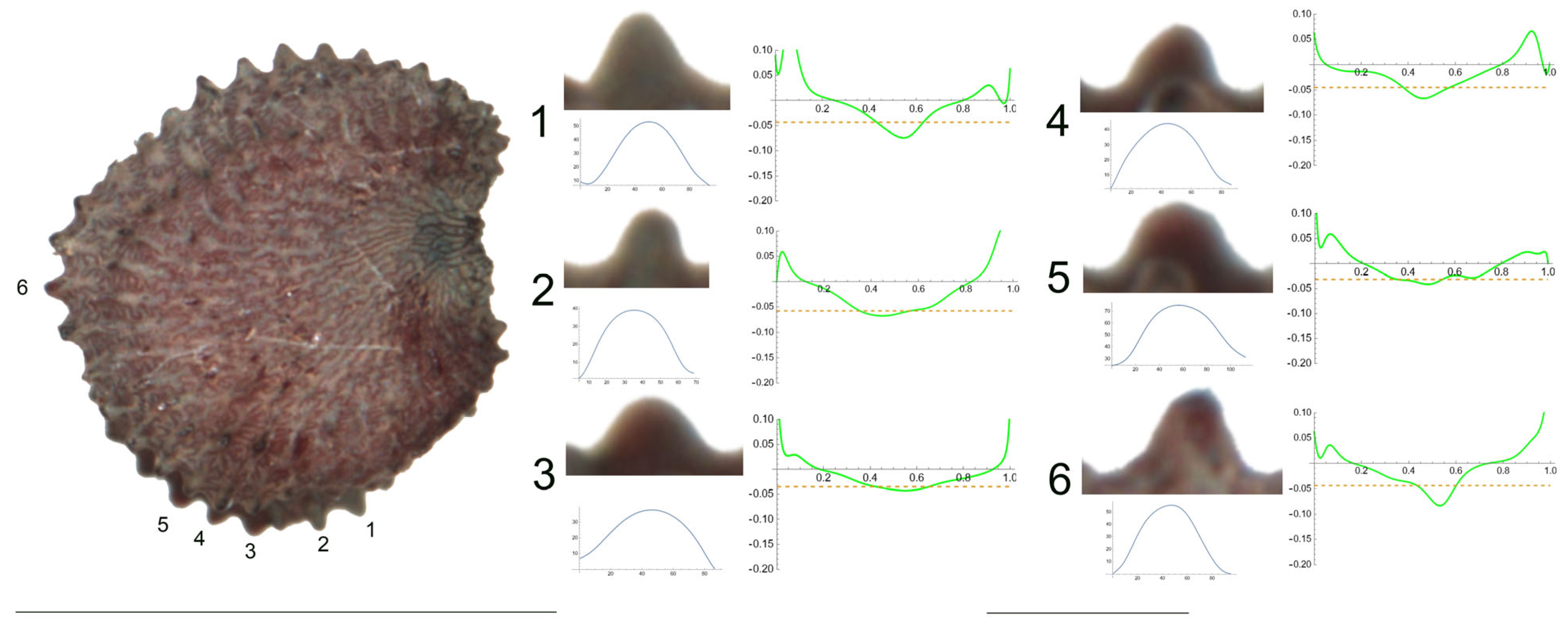 Plants 12 03444 g010 Plants 12 03444 g010