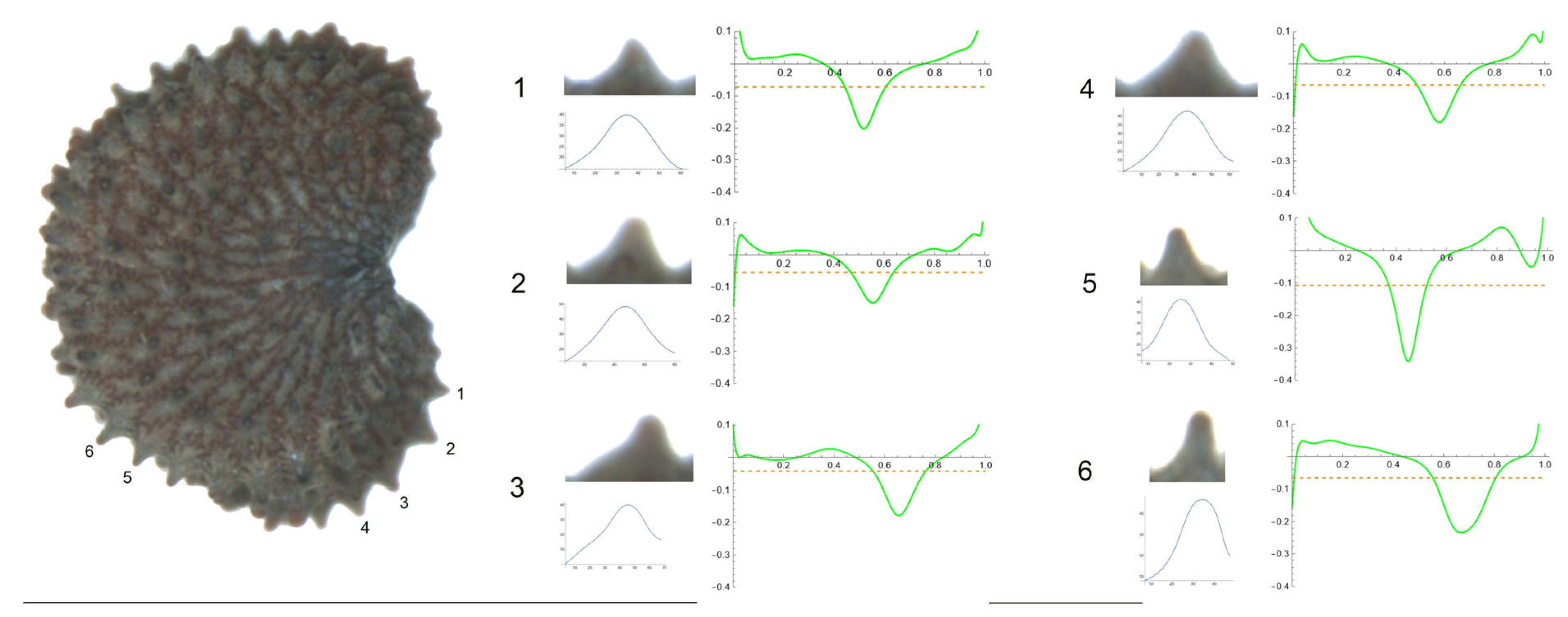 Plants 12 03444 g011 Plants 12 03444 g011