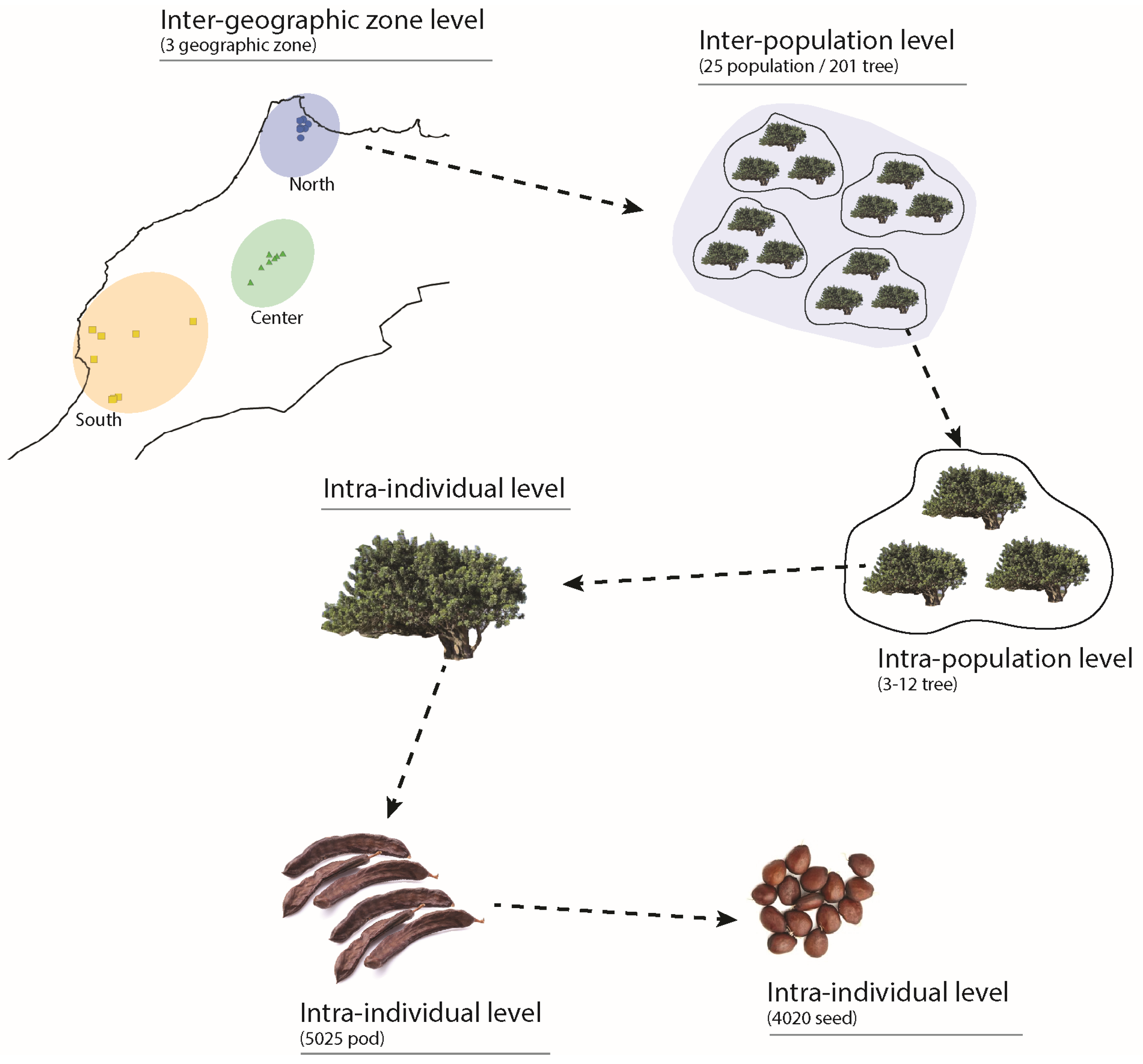 Plants 12 03447 g006