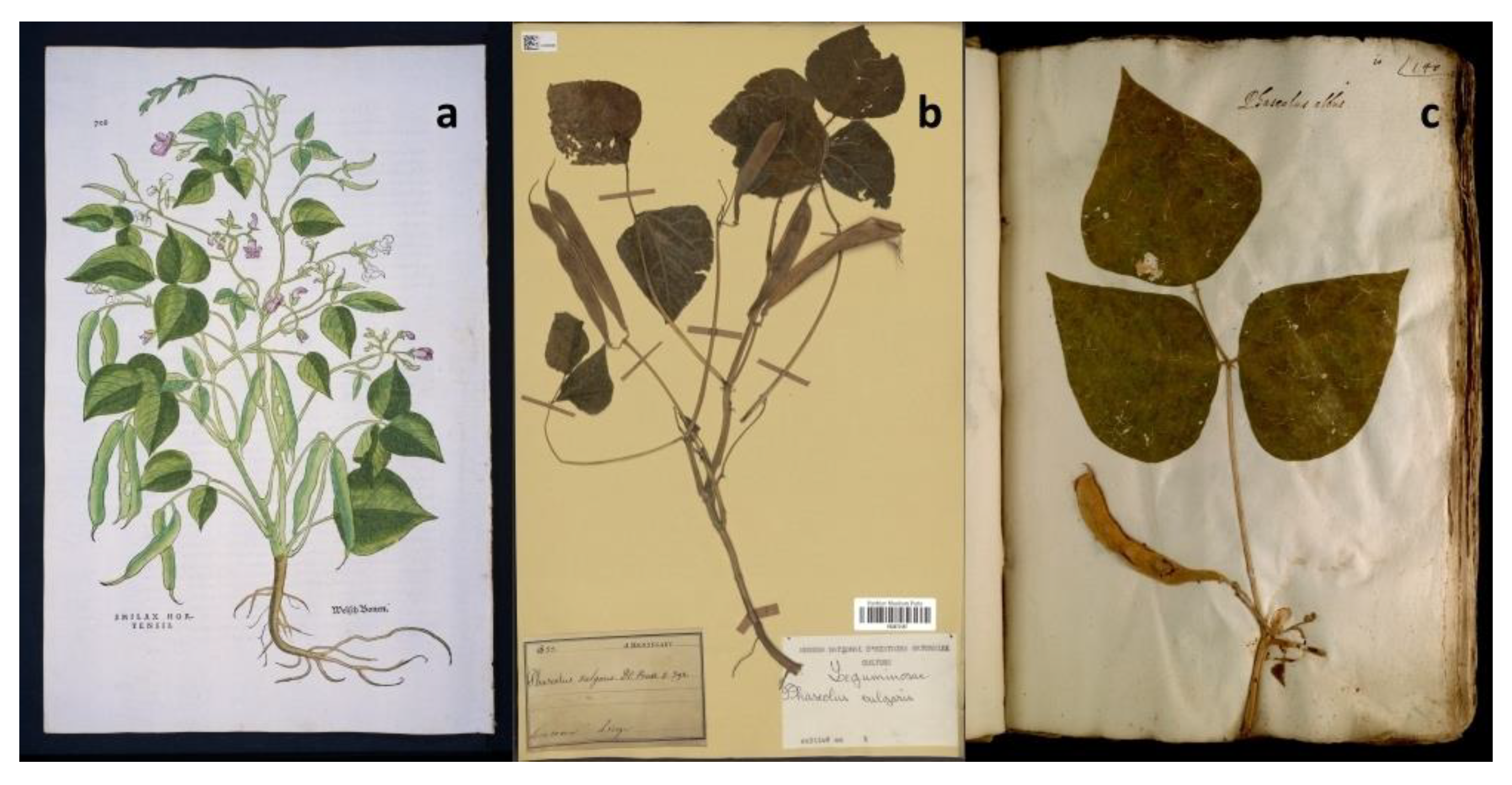 Plants 12 03452 g001