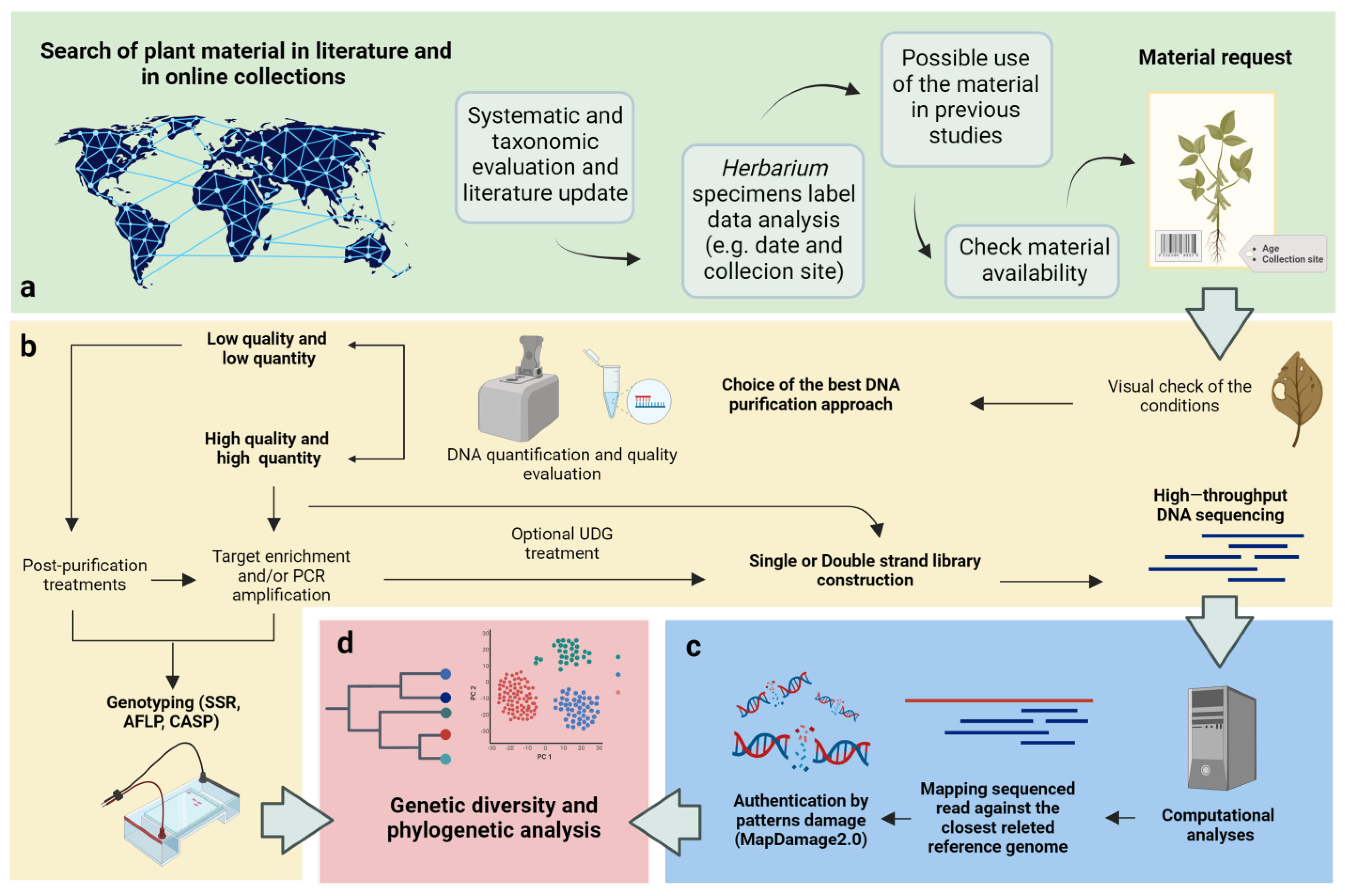 Plants 12 03452 g002