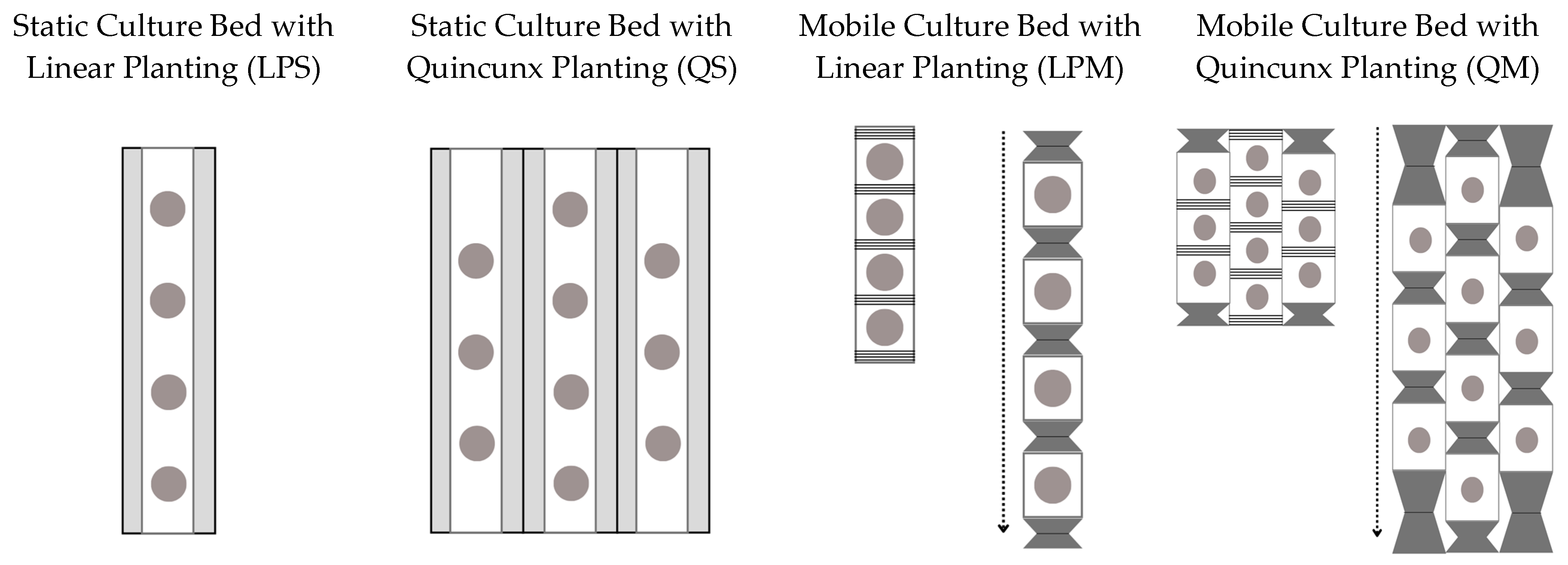 Plants 12 03456 g010