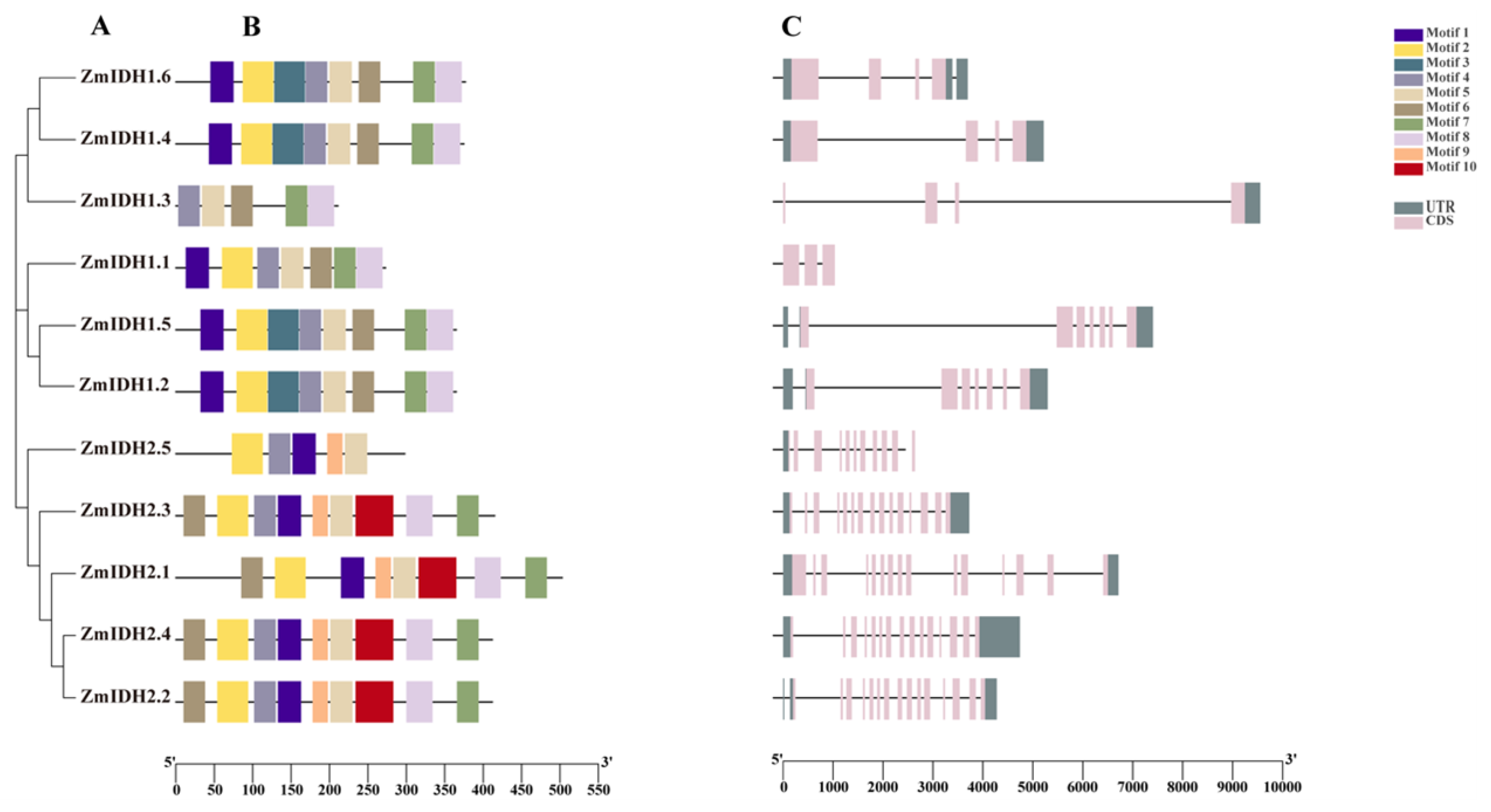 Plants 12 03466 g002