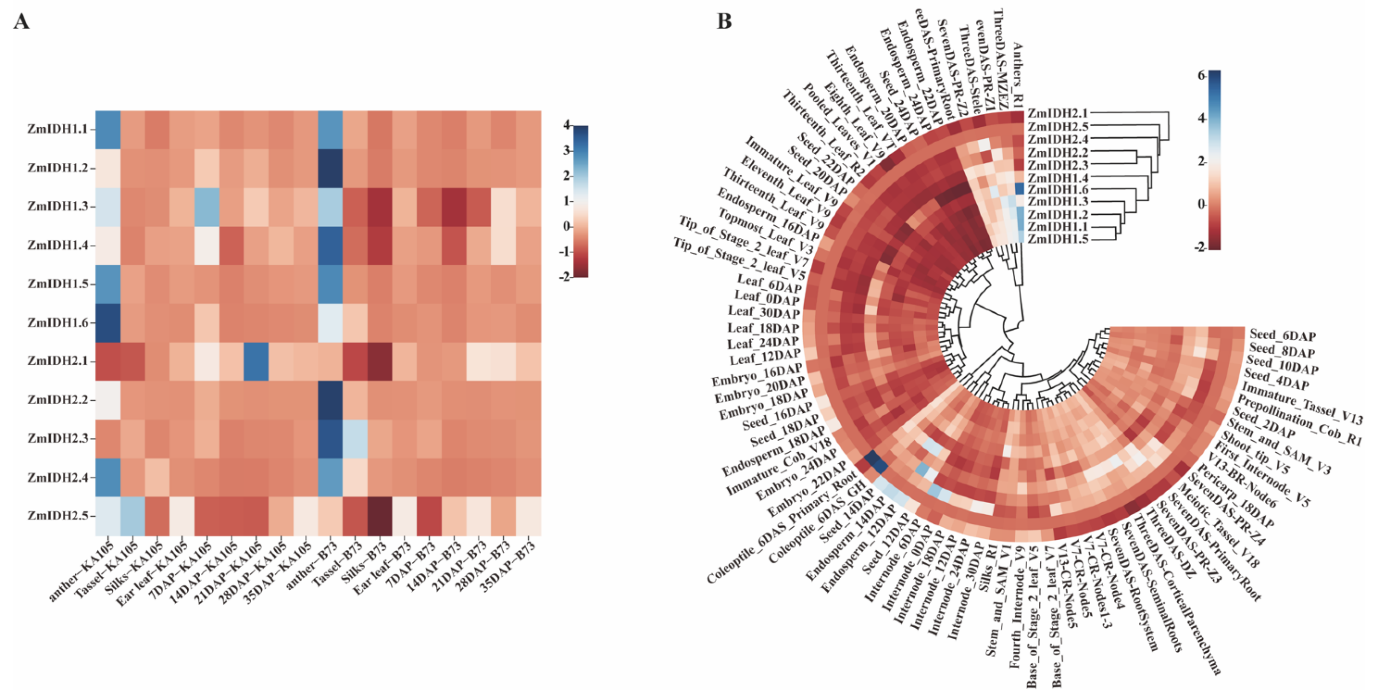 Plants 12 03466 g006