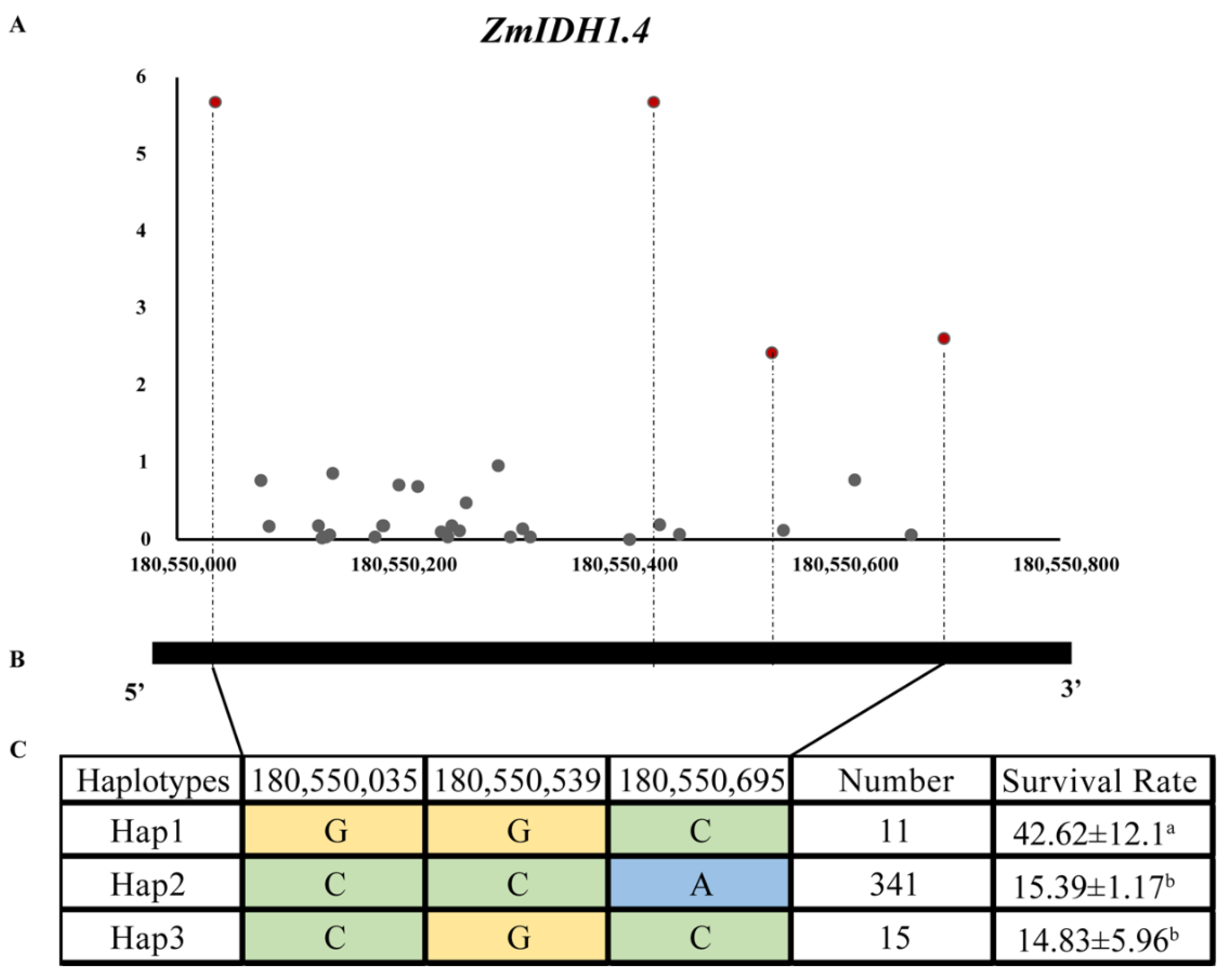 Plants 12 03466 g008