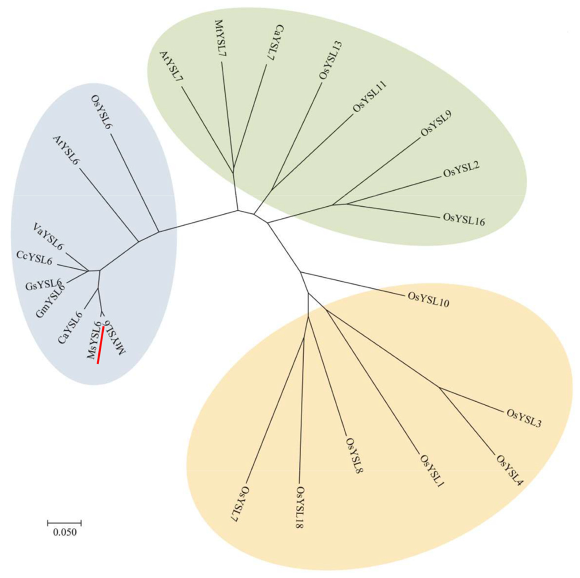 Plants 12 03485 g001