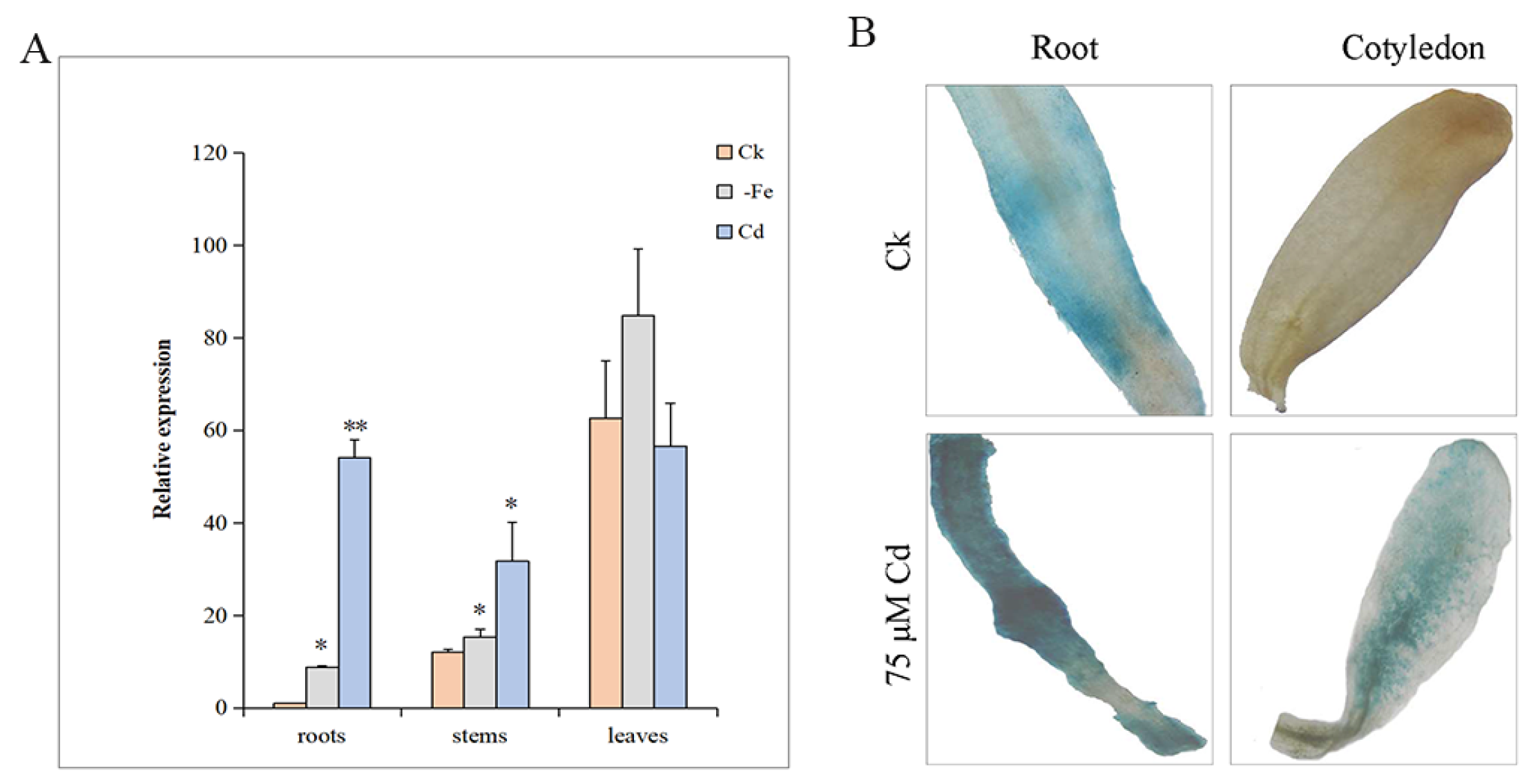 Plants 12 03485 g004