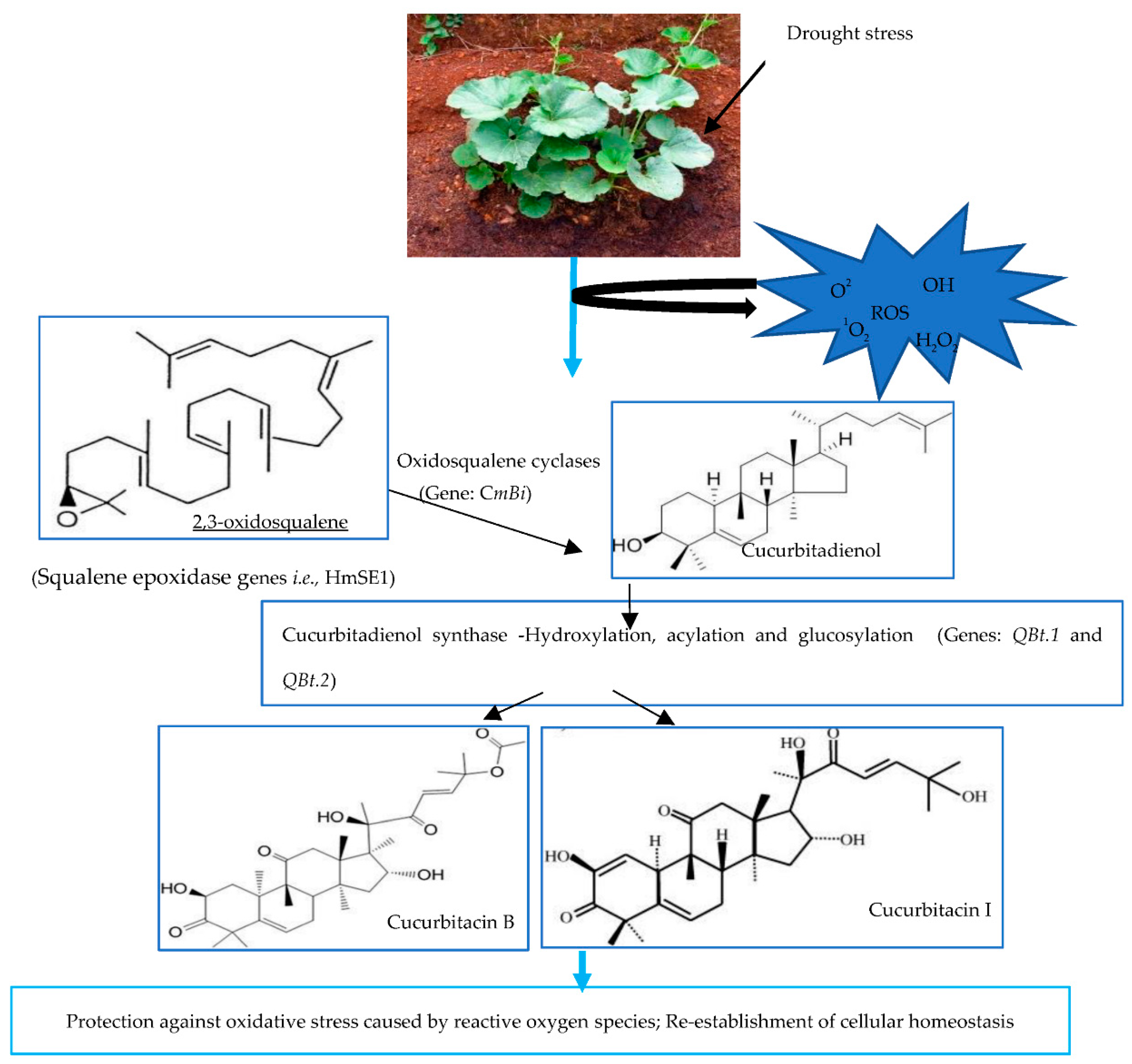 Plants 12 03492 g005