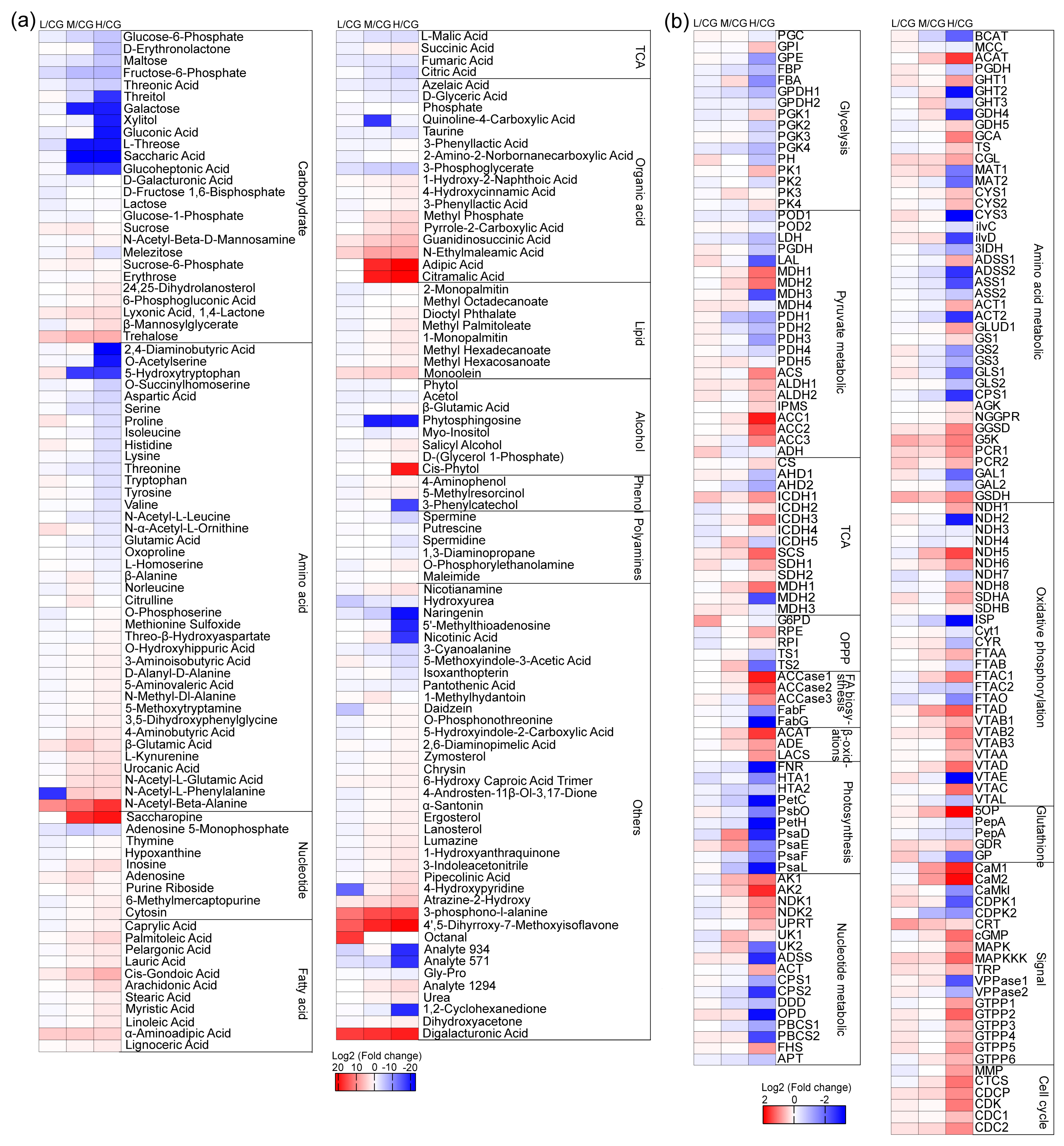 Plants 12 03495 g004