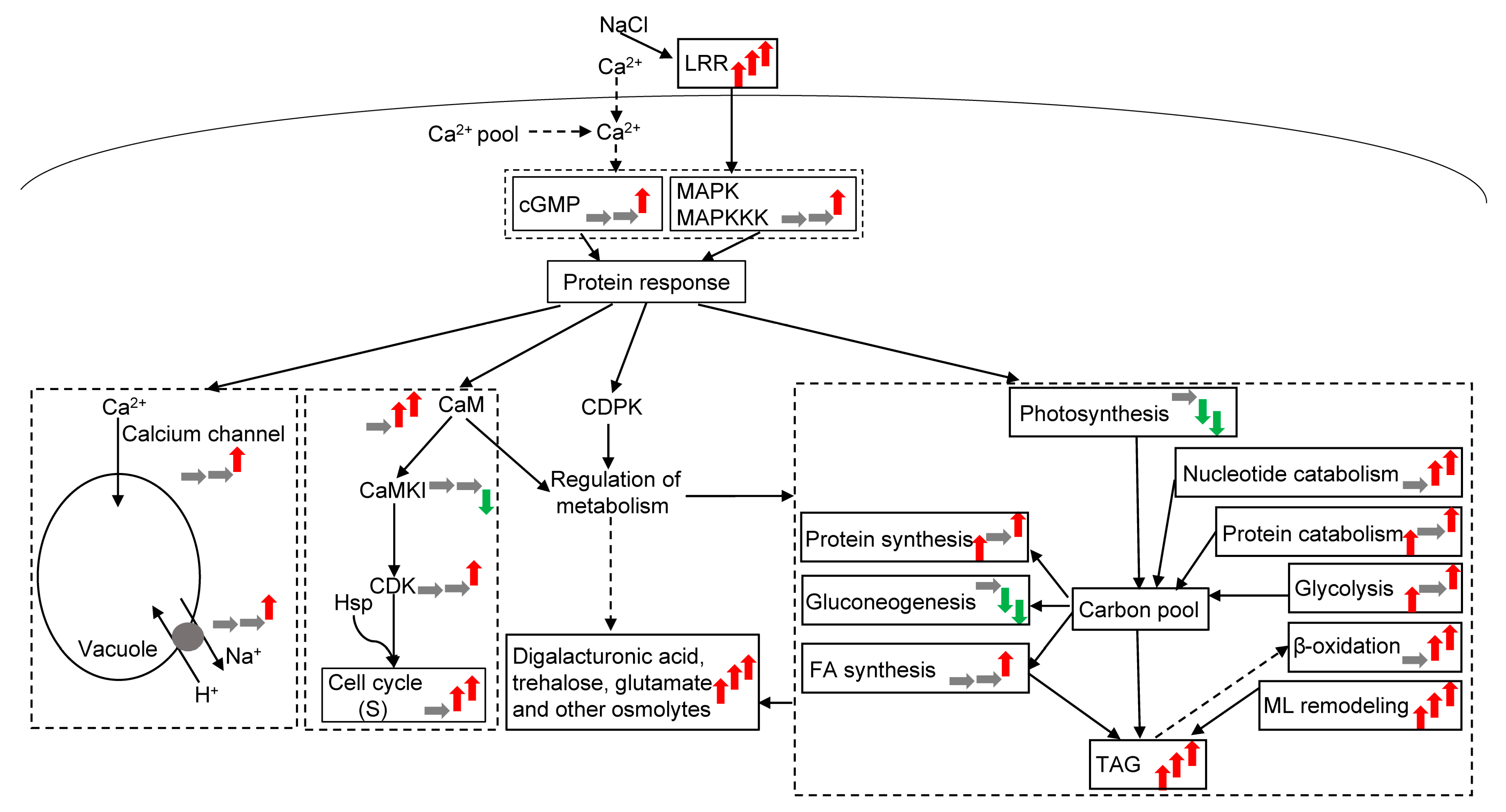 Plants 12 03495 g006