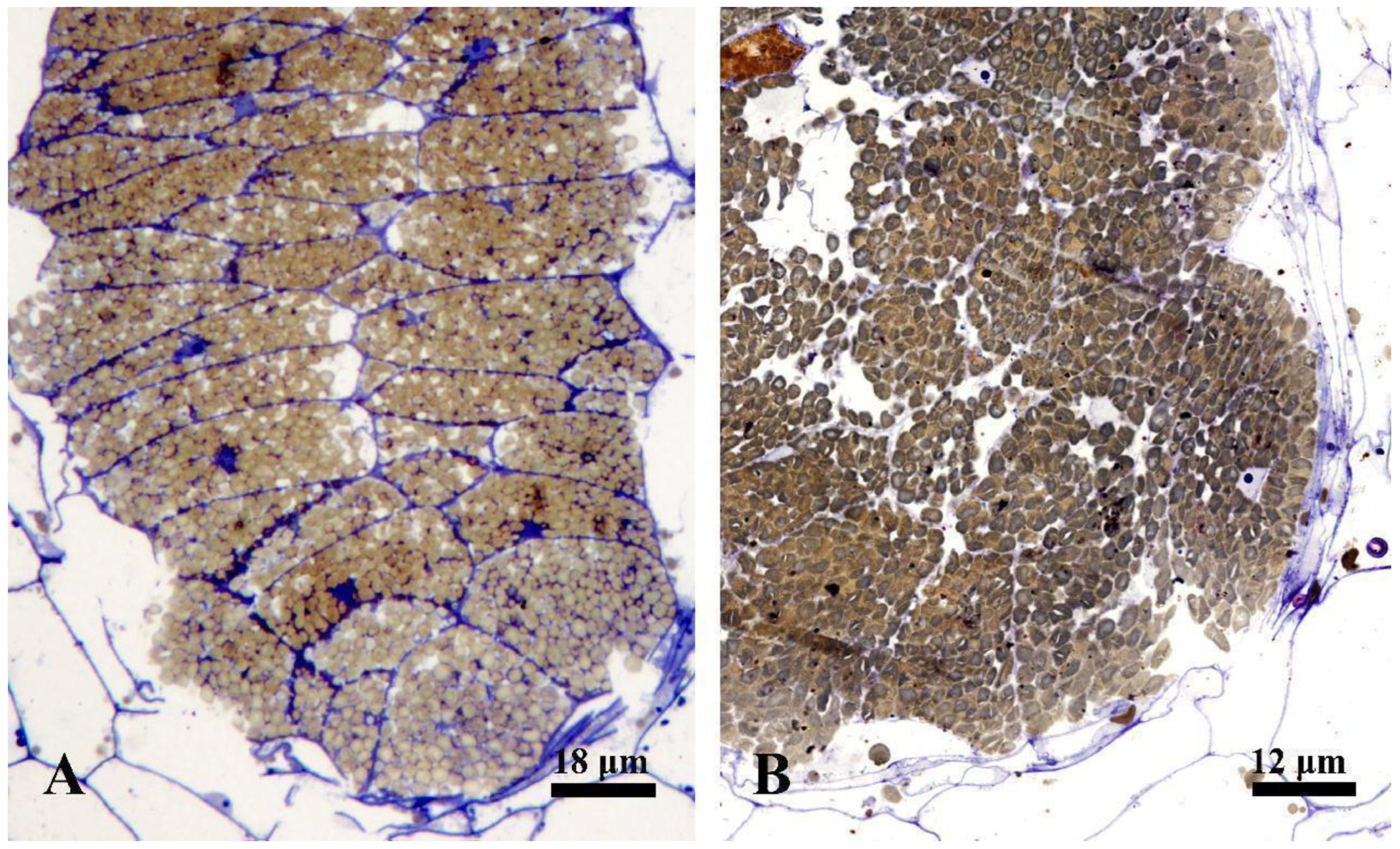 Plants 12 03497 g002