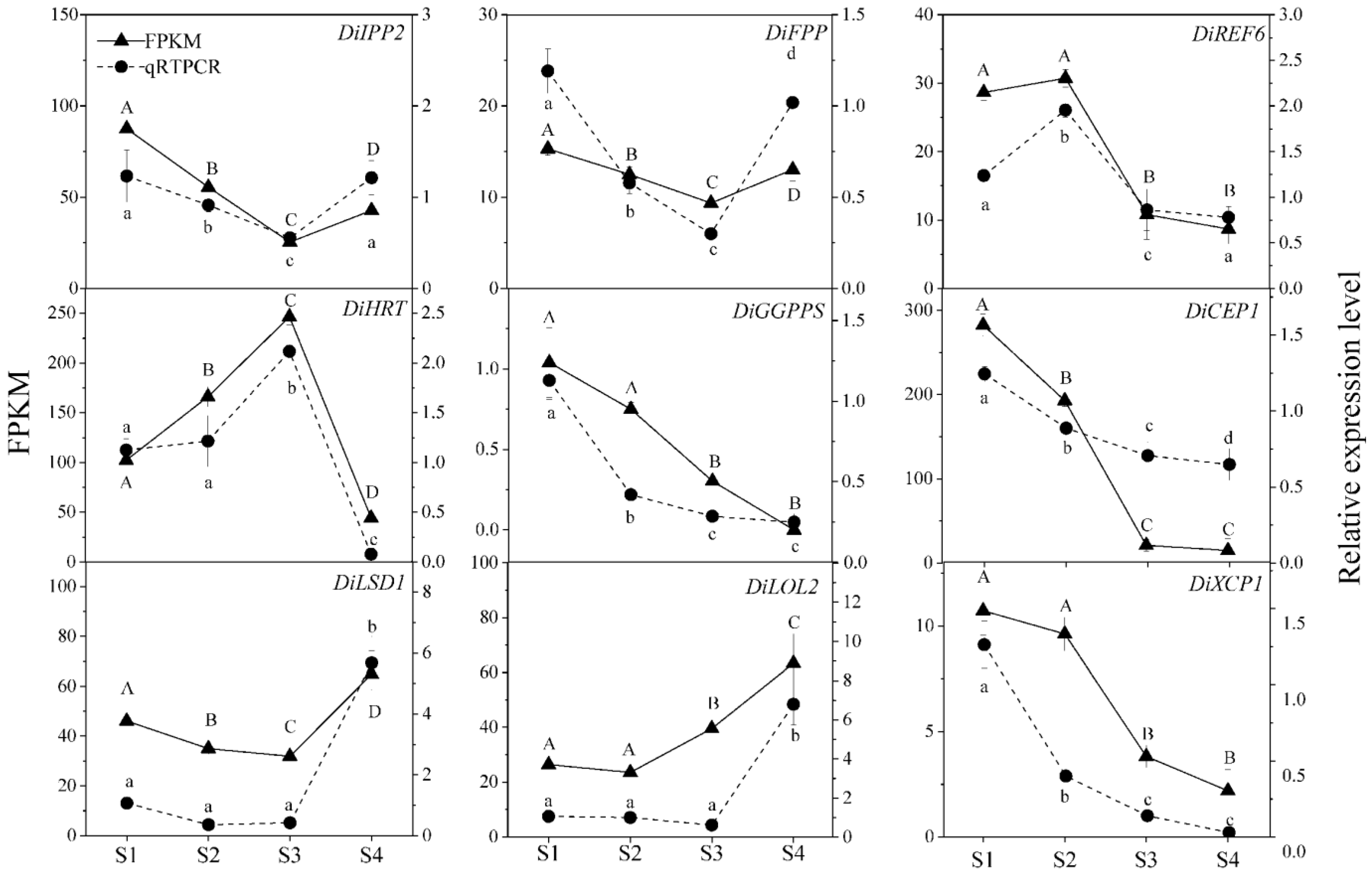Plants 12 03497 g013
