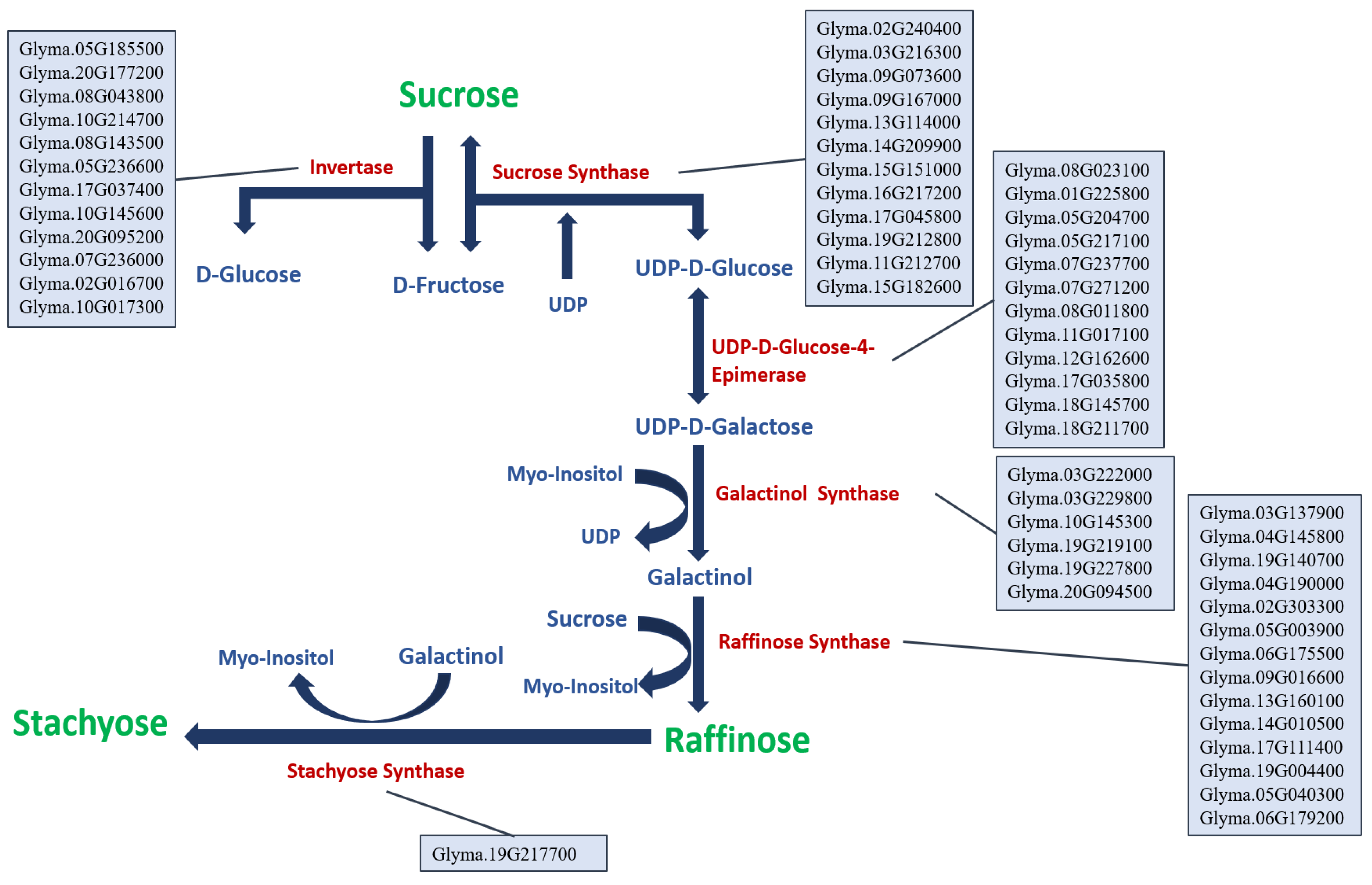 Plants 12 03498 g002
