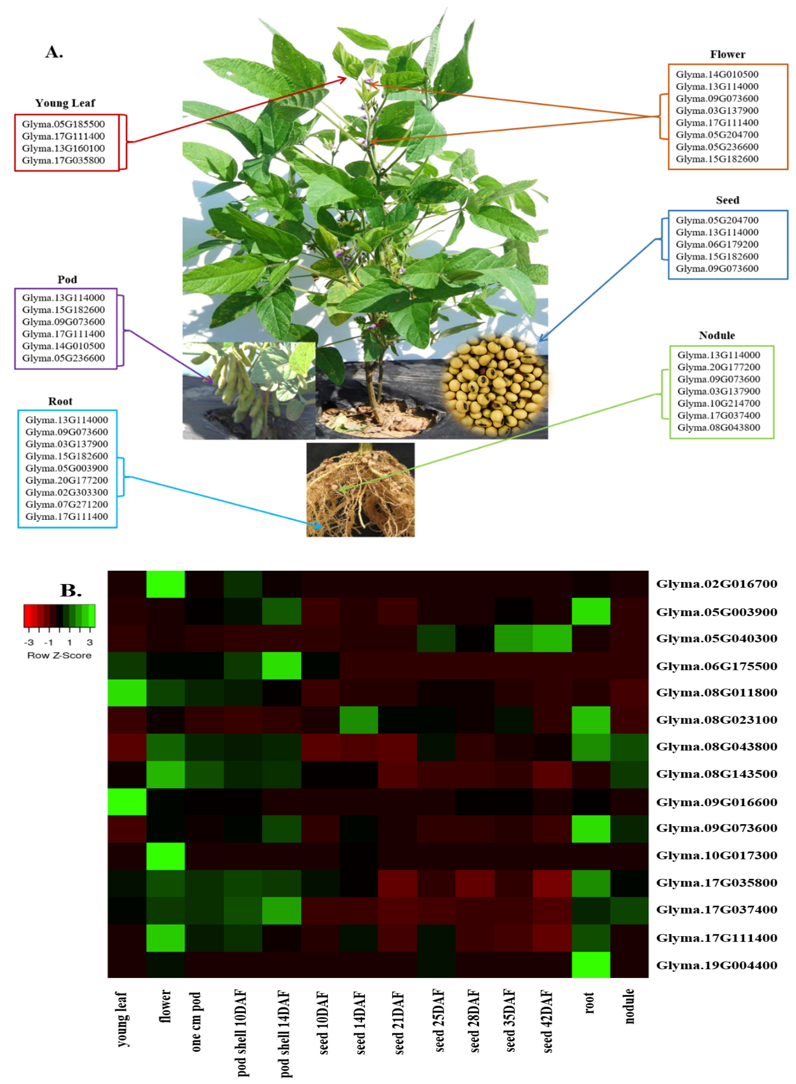 Plants 12 03498 g003