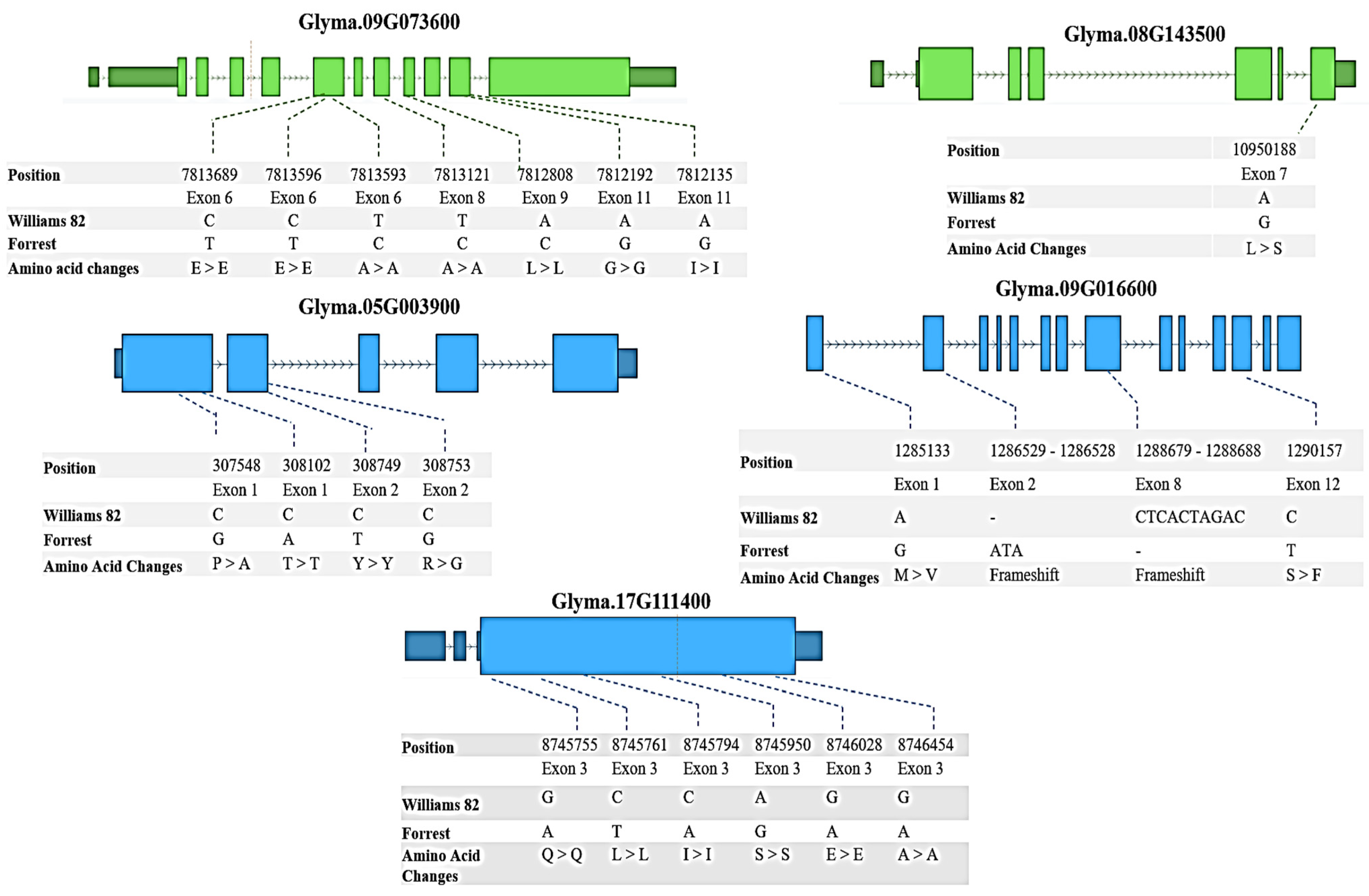 Plants 12 03498 g004