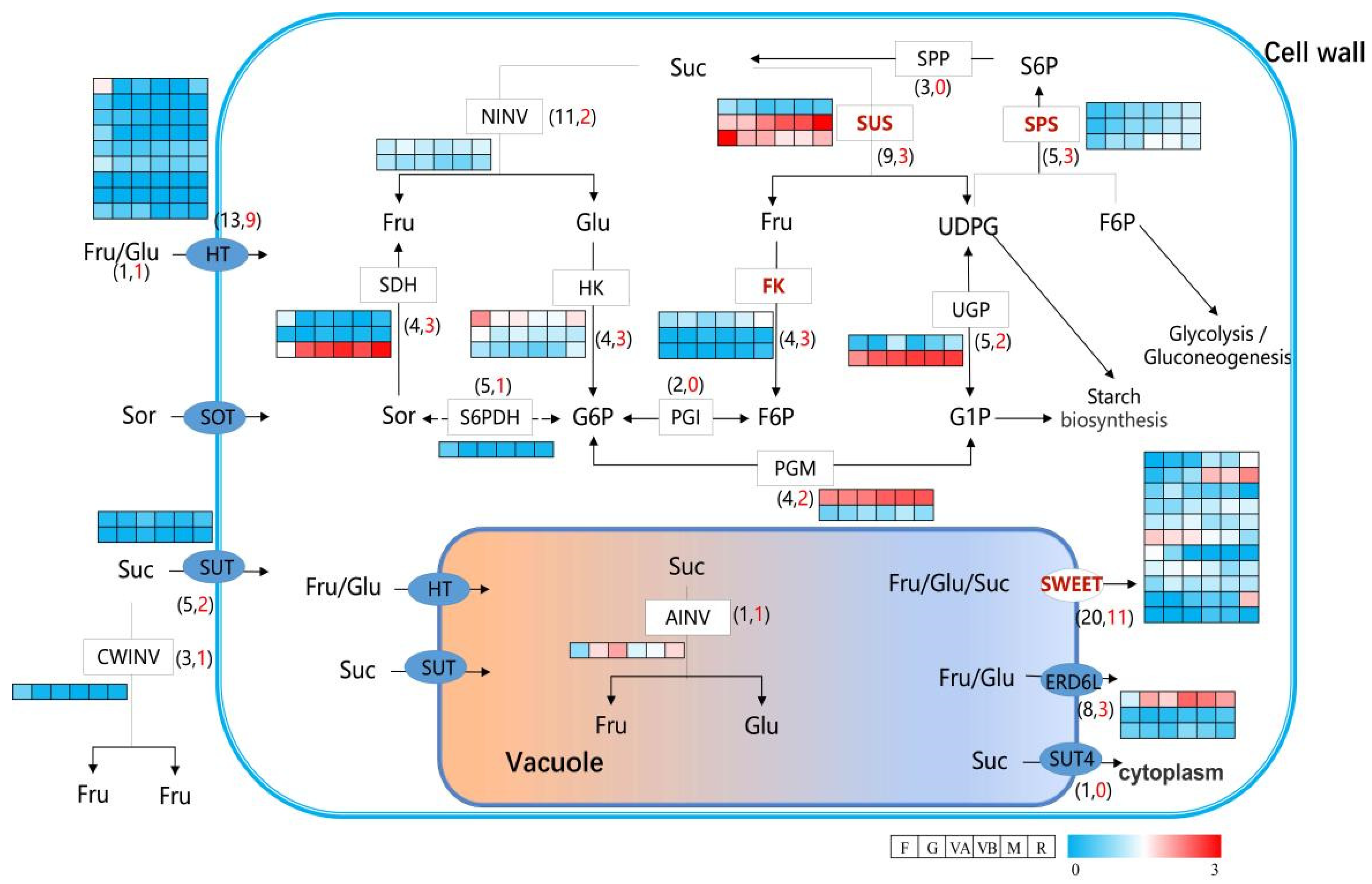 Plants 12 03513 g004