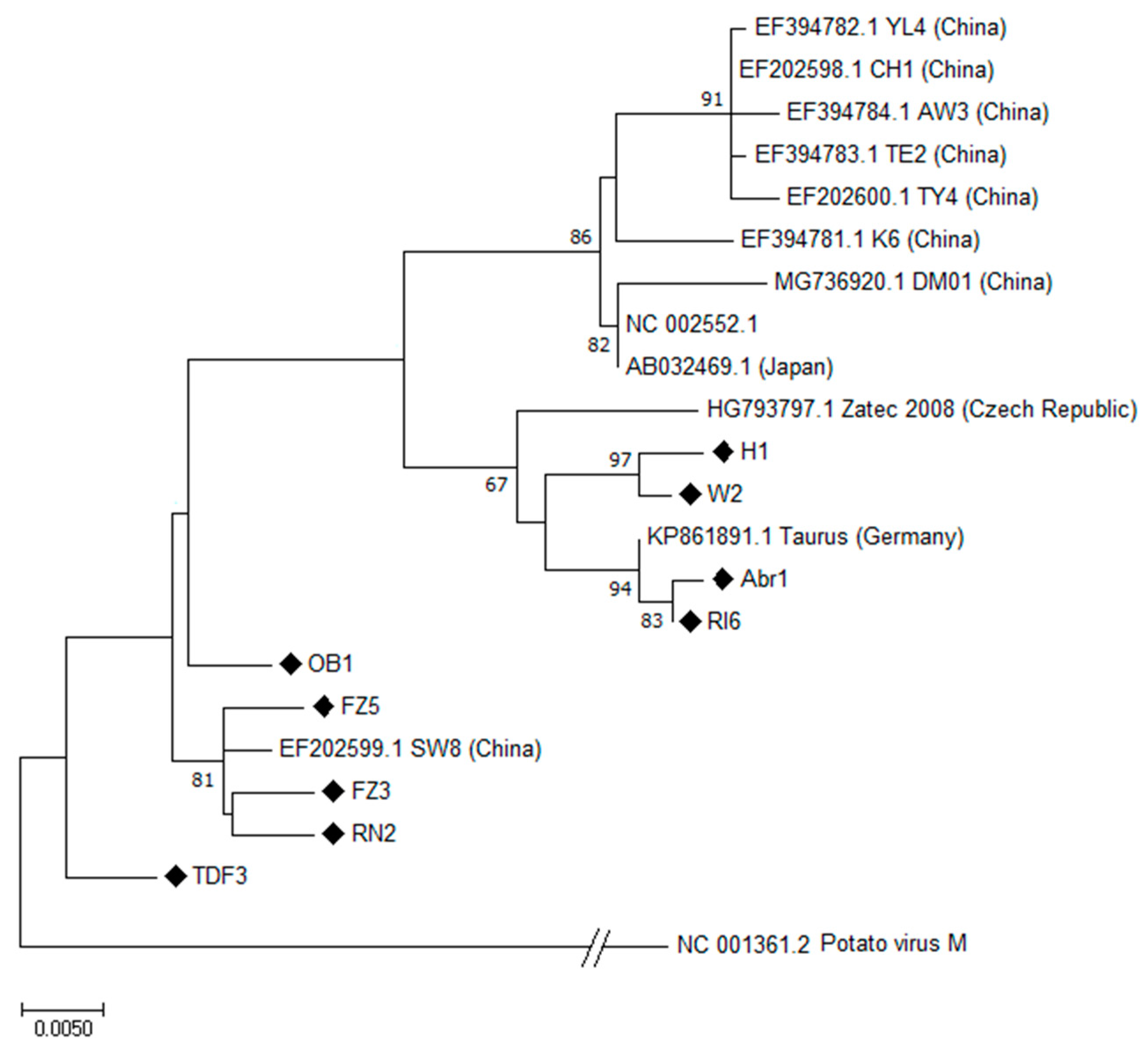 Plants 12 03514 g001