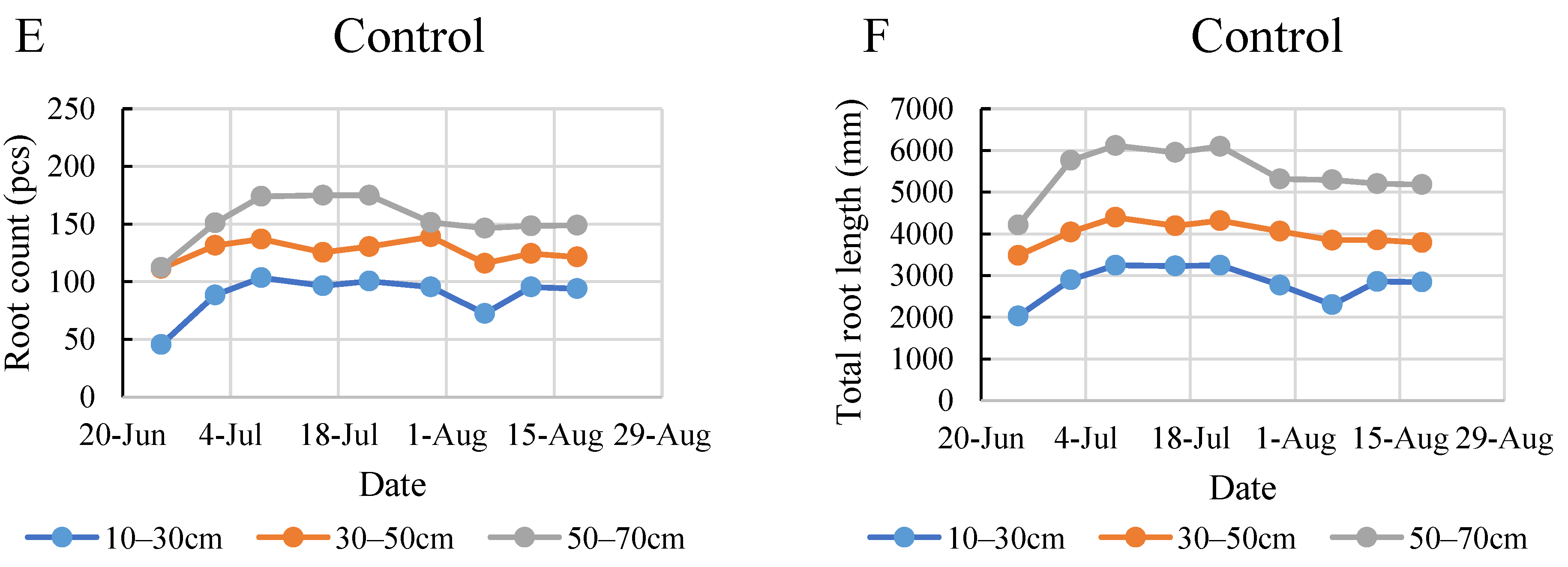 Plants 12 03517 g006b