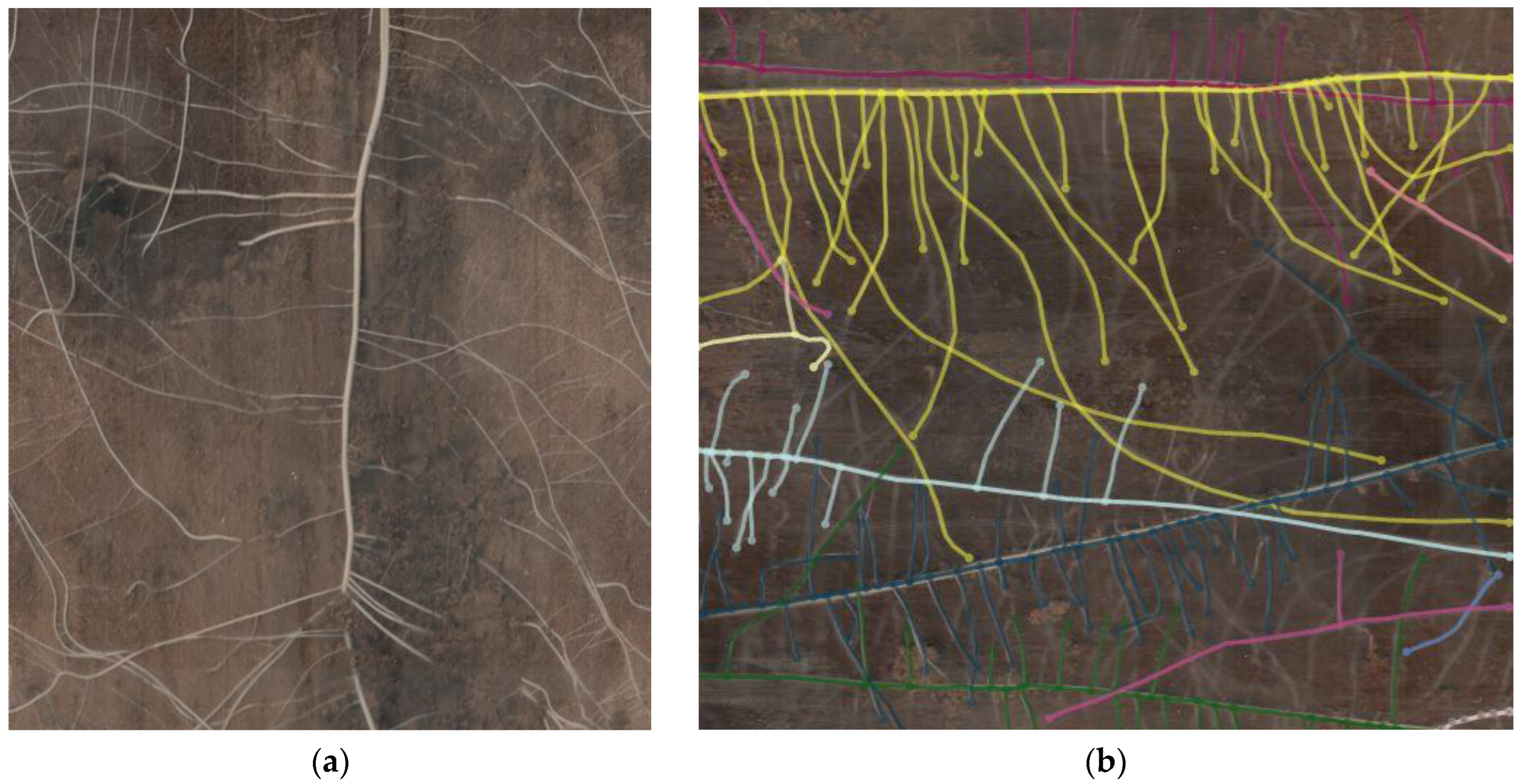 Plants 12 03517 g012